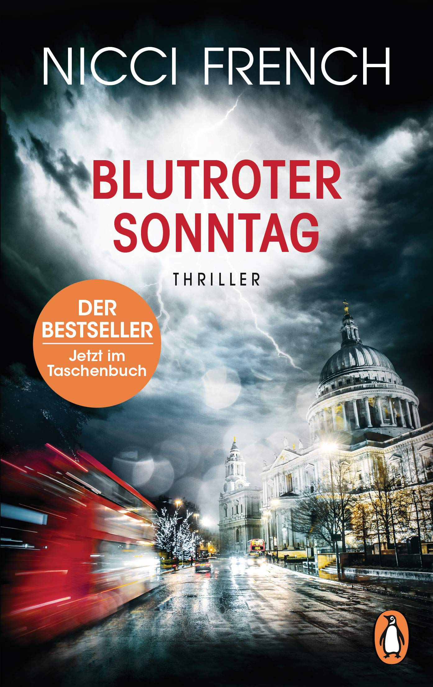 Blutroter Sonntag Contemporary literature Books