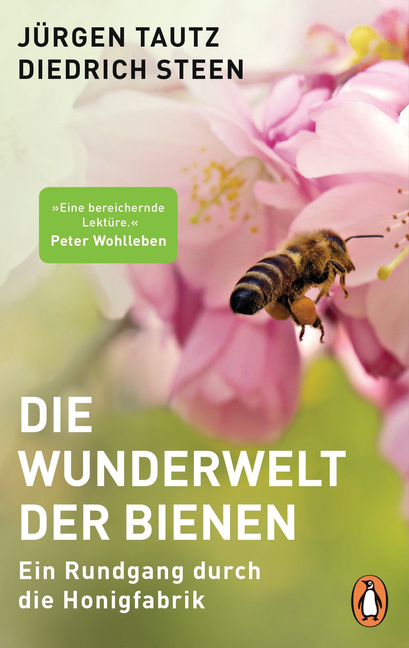 Die Wunderwelt der Bienen Medicine