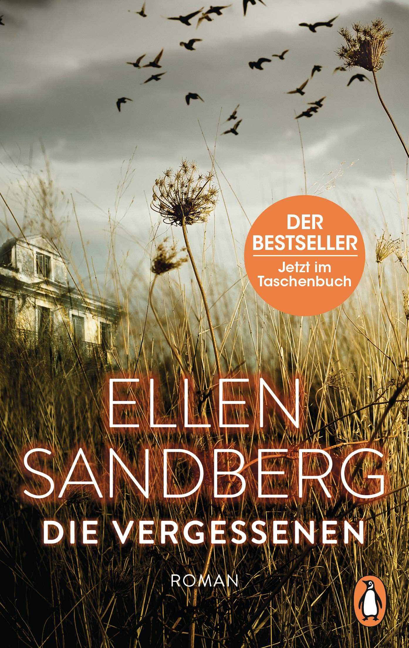 Product Image: Die Vergessenen