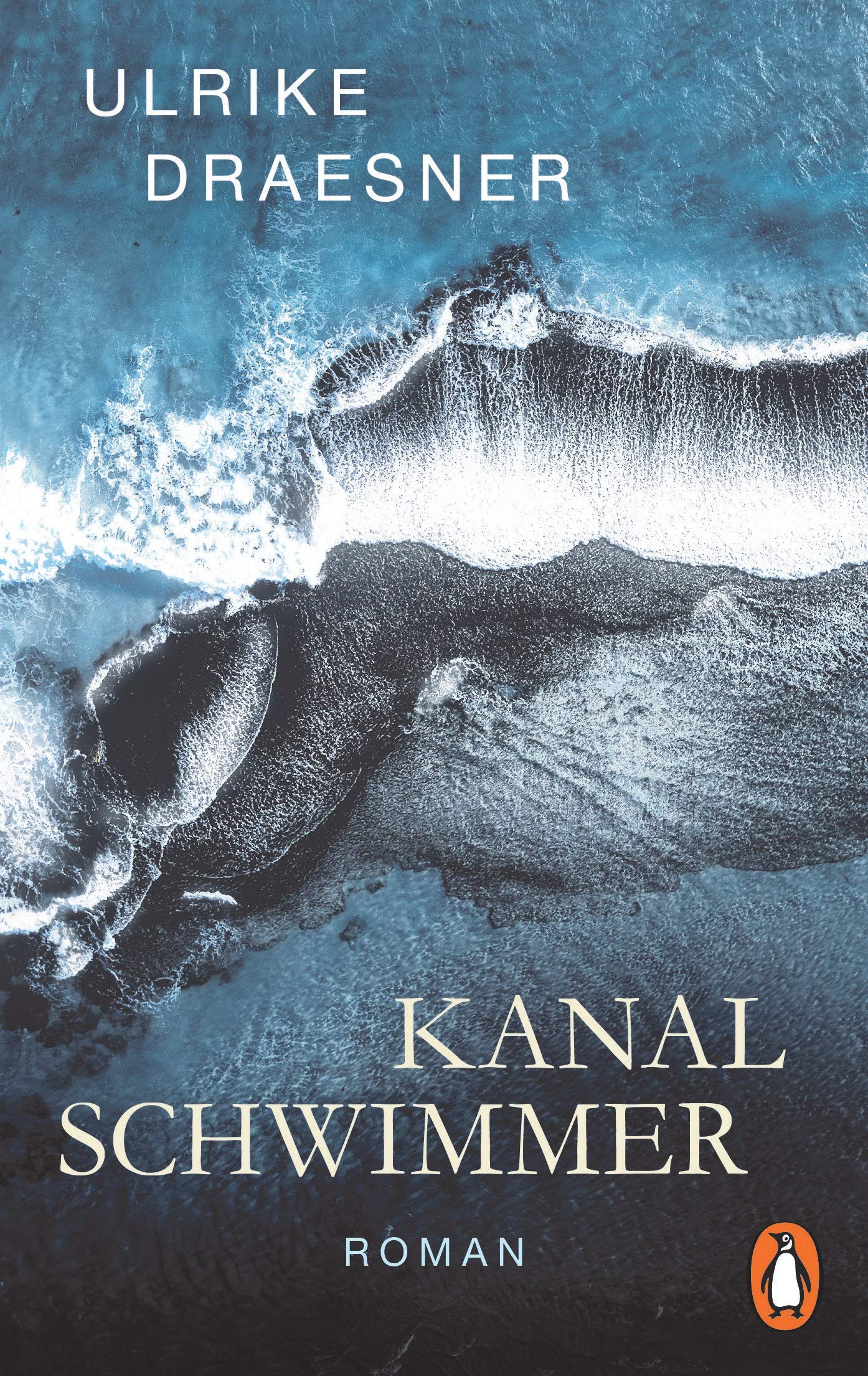 Kanalschwimmer Contemporary literature Books