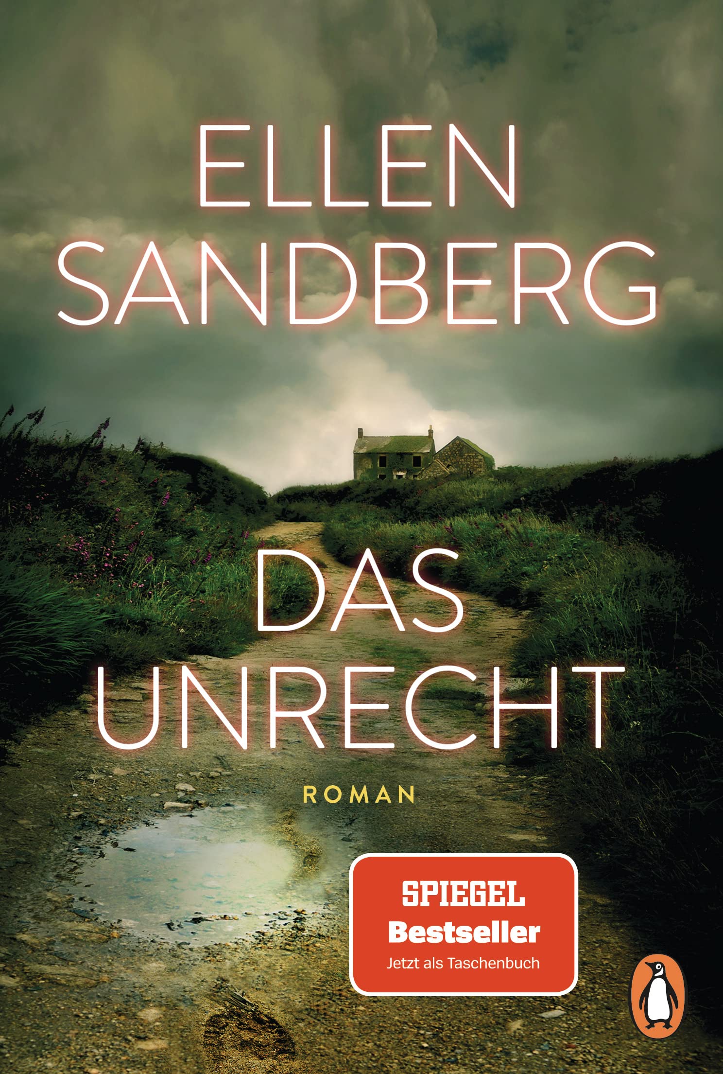 Product Image: Das Unrecht