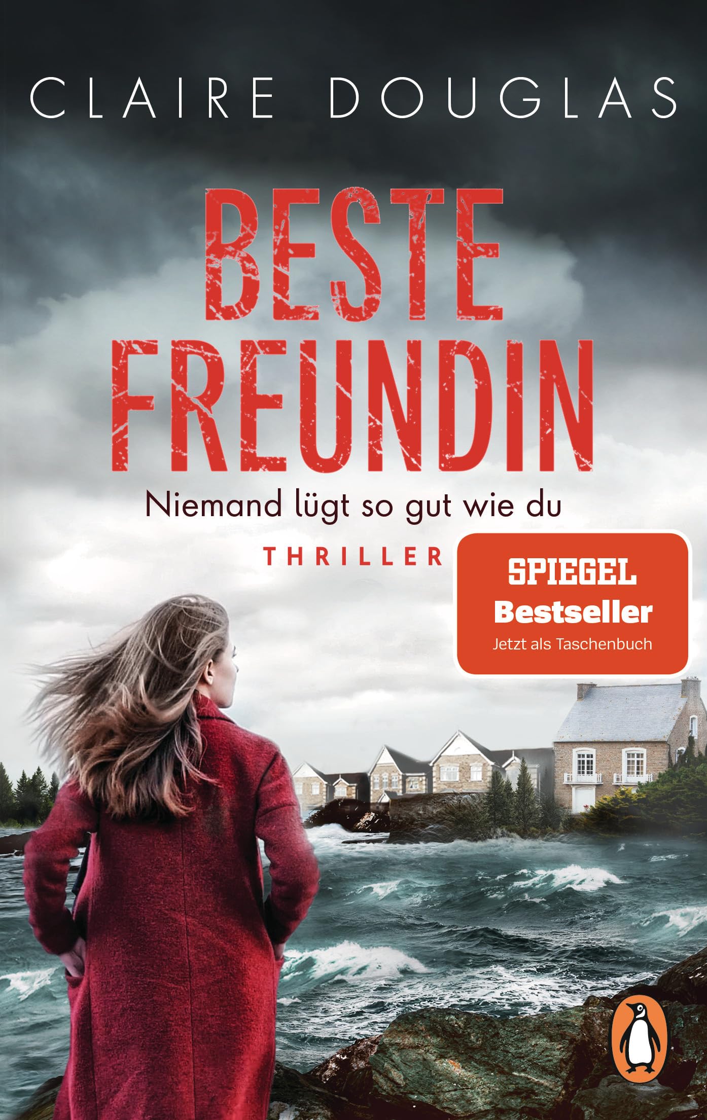 Beste Freundin - Niemand lügt so gut wie du Contemporary literature