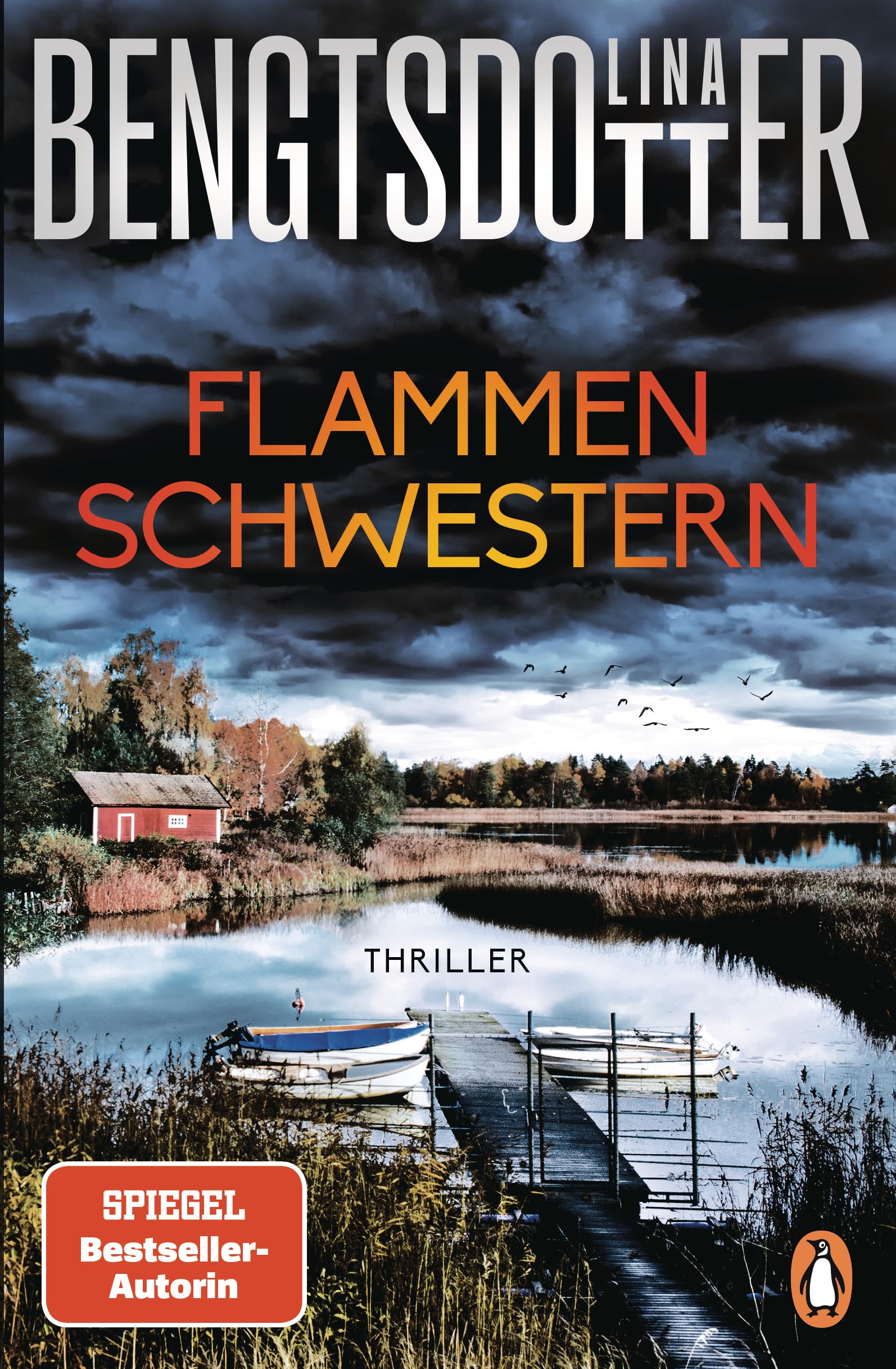 Flammenschwestern Contemporary literature Books