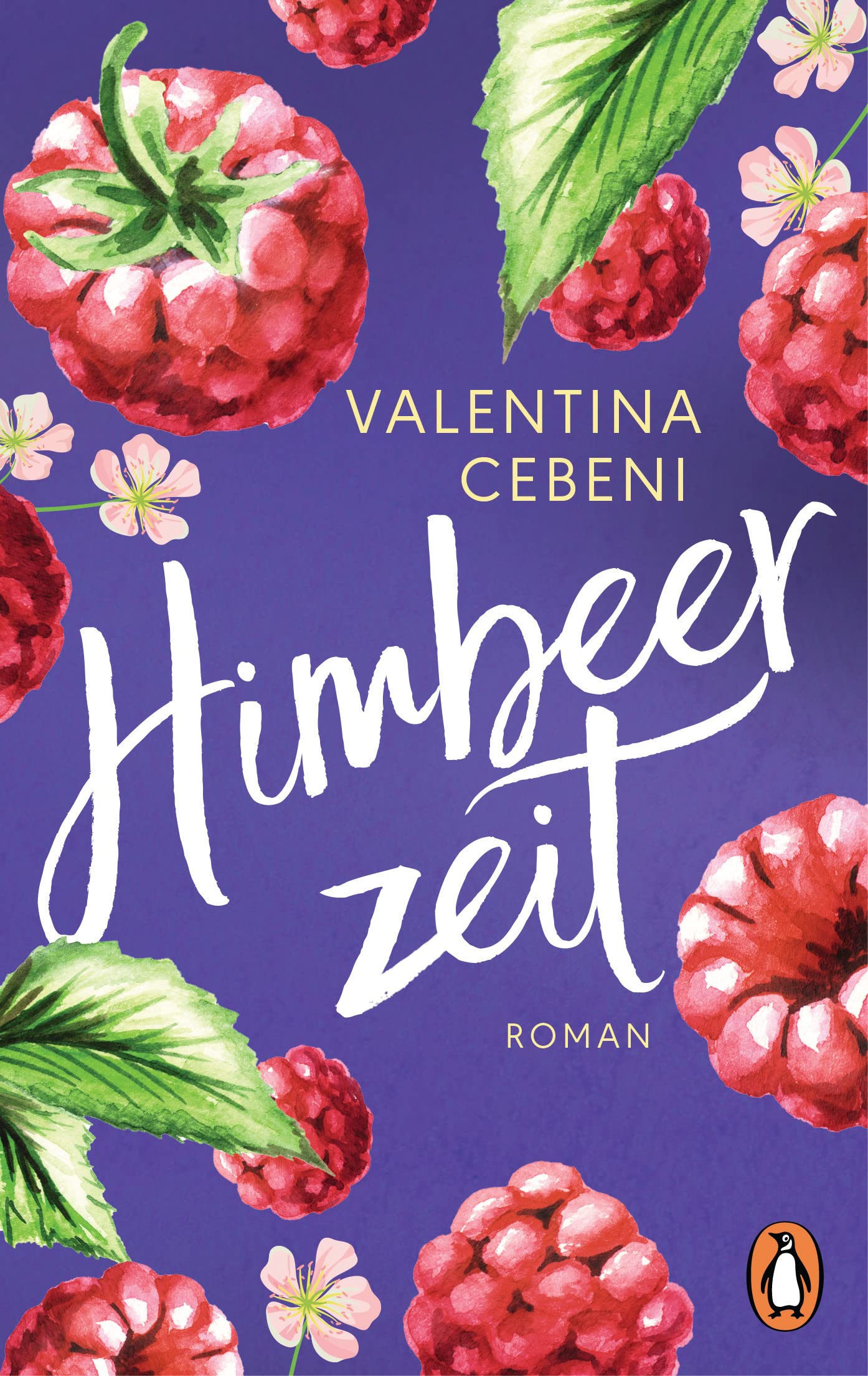 Himbeerzeit Contemporary literature Books