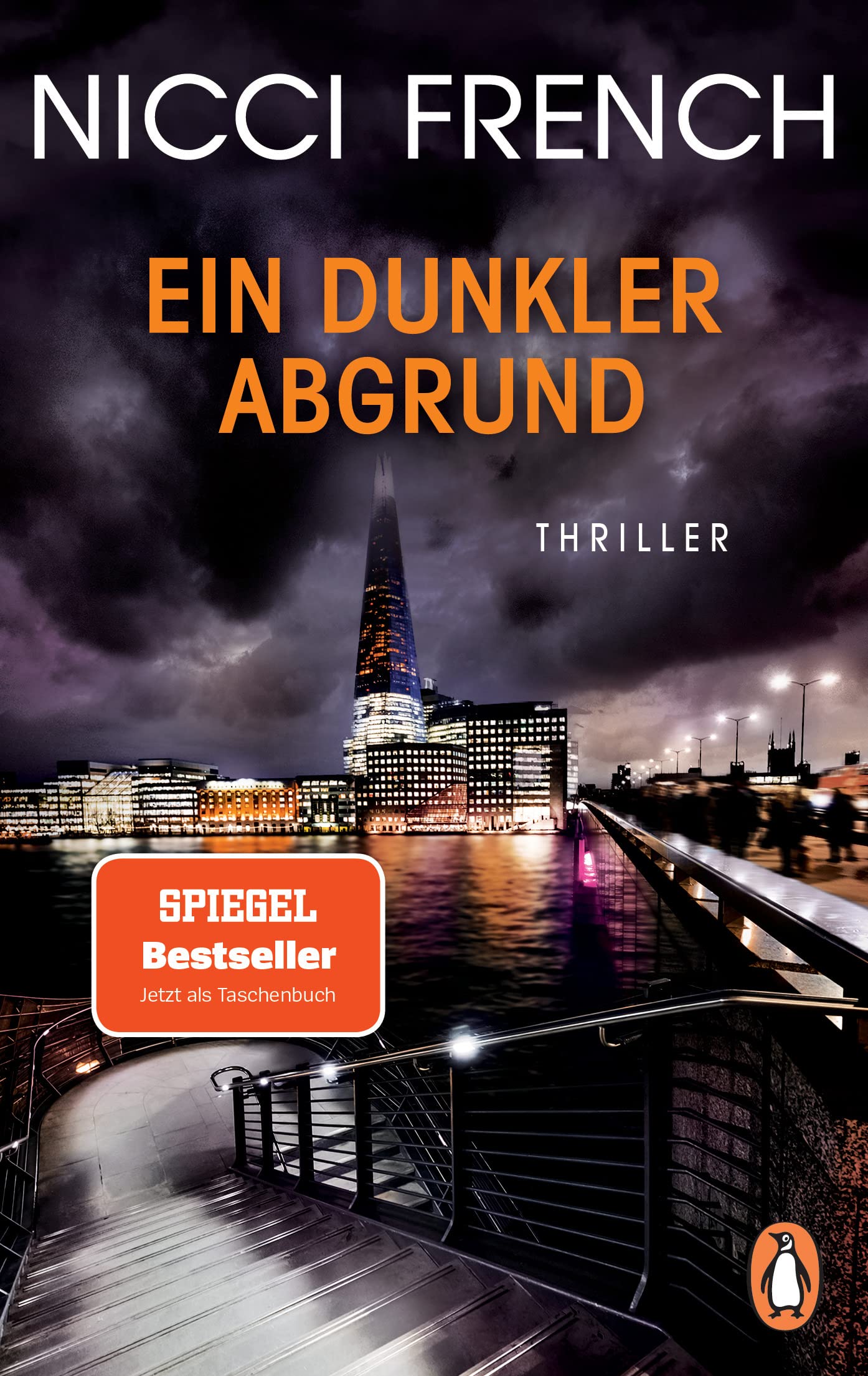 Ein dunkler Abgrund Contemporary literature Books
