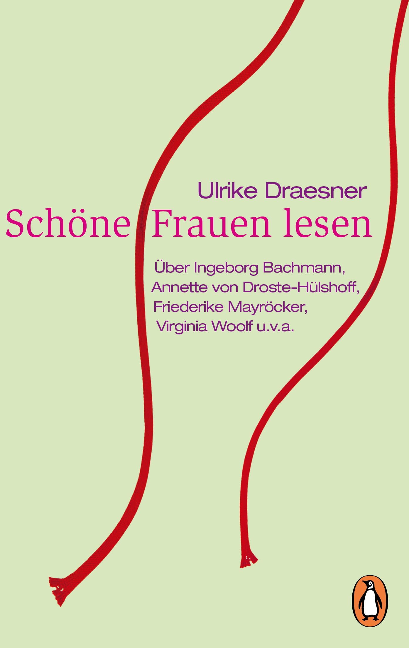 Schöne Frauen lesen: Über Ingeborg Bachmann, Annette von Droste-Hülshoff, Friederike Mayröcker, Virginia Woolf u.v.a. Contemporary literature