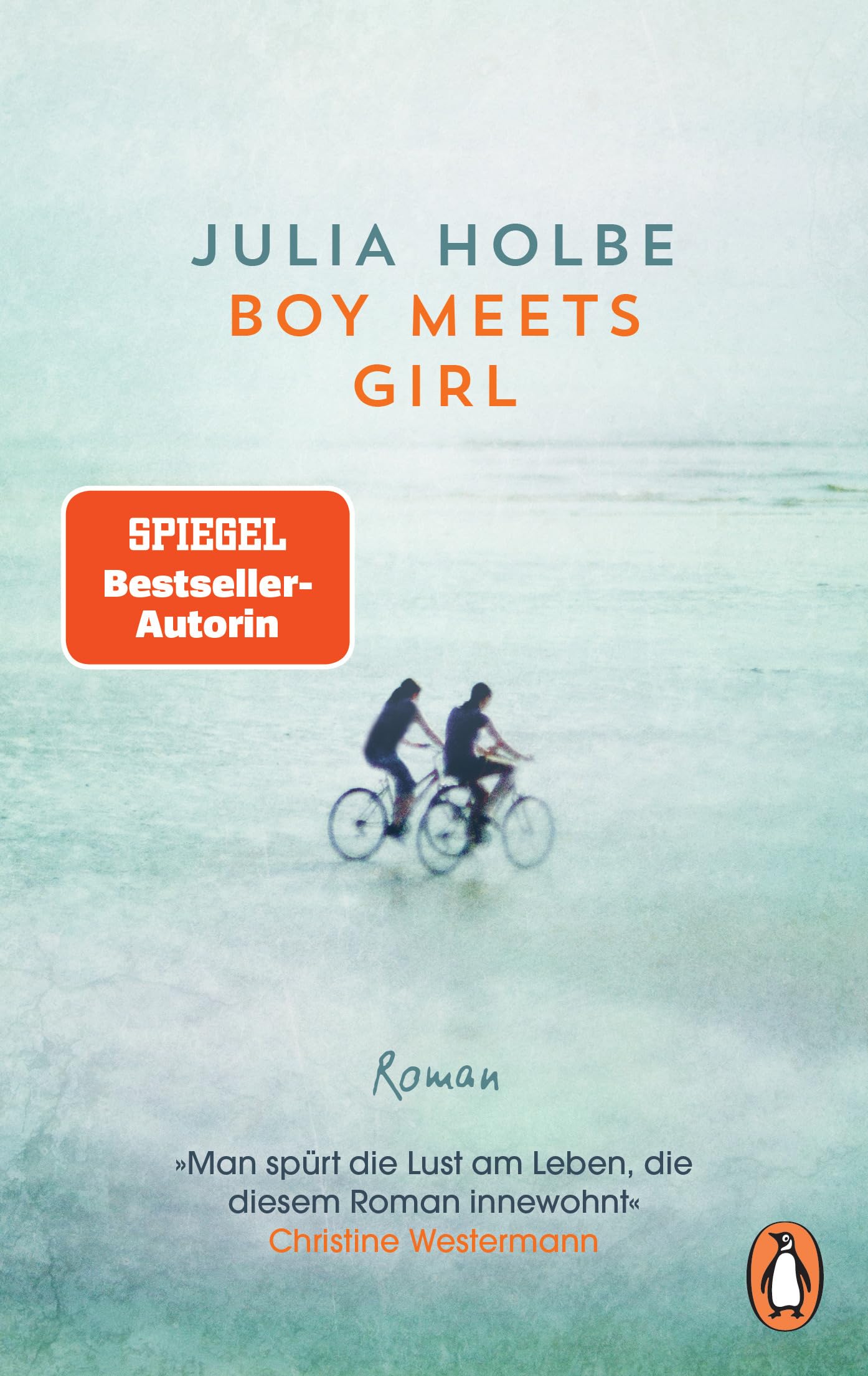 Boy meets Girl Contemporary literature Books