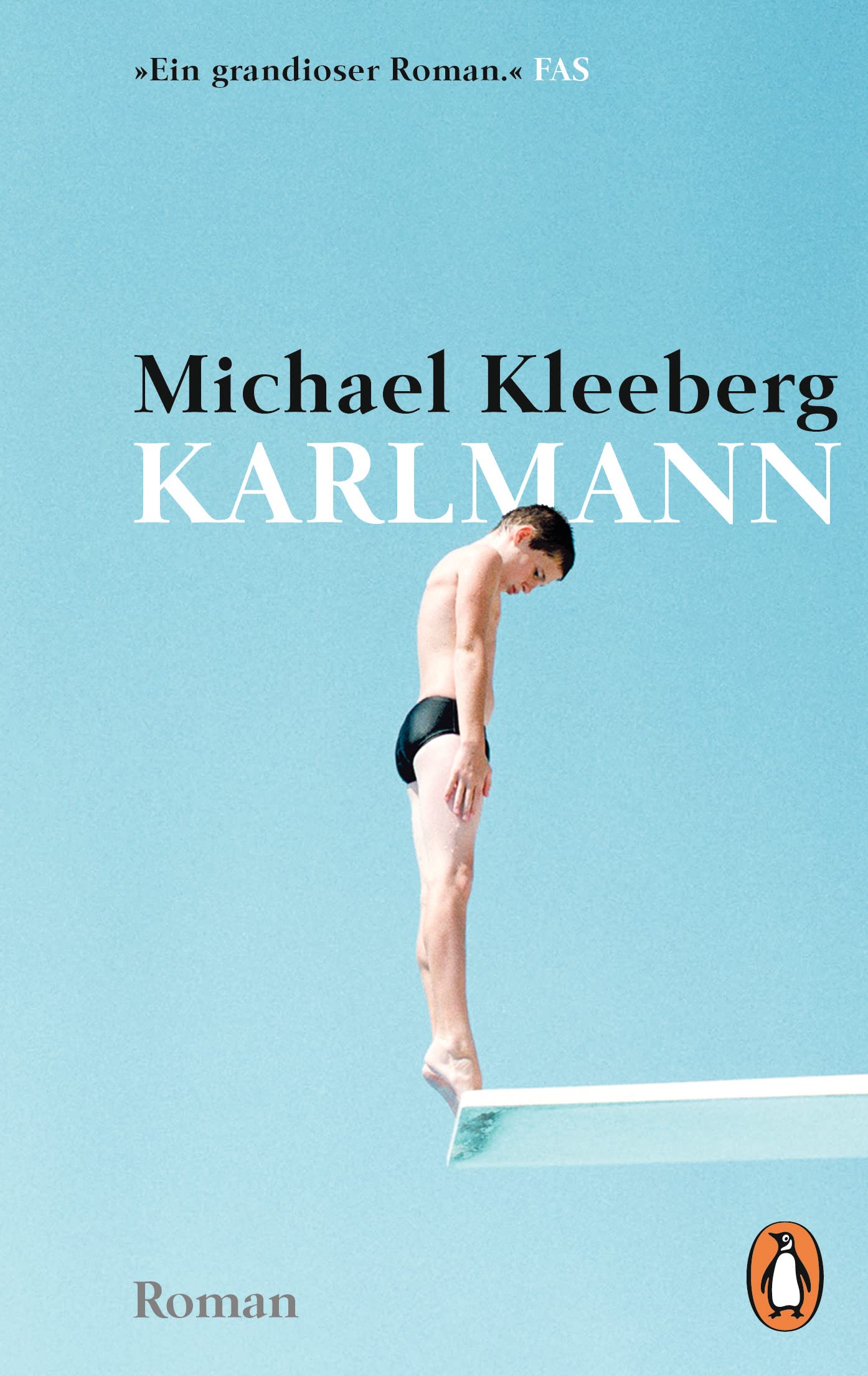 Karlmann Contemporary literature