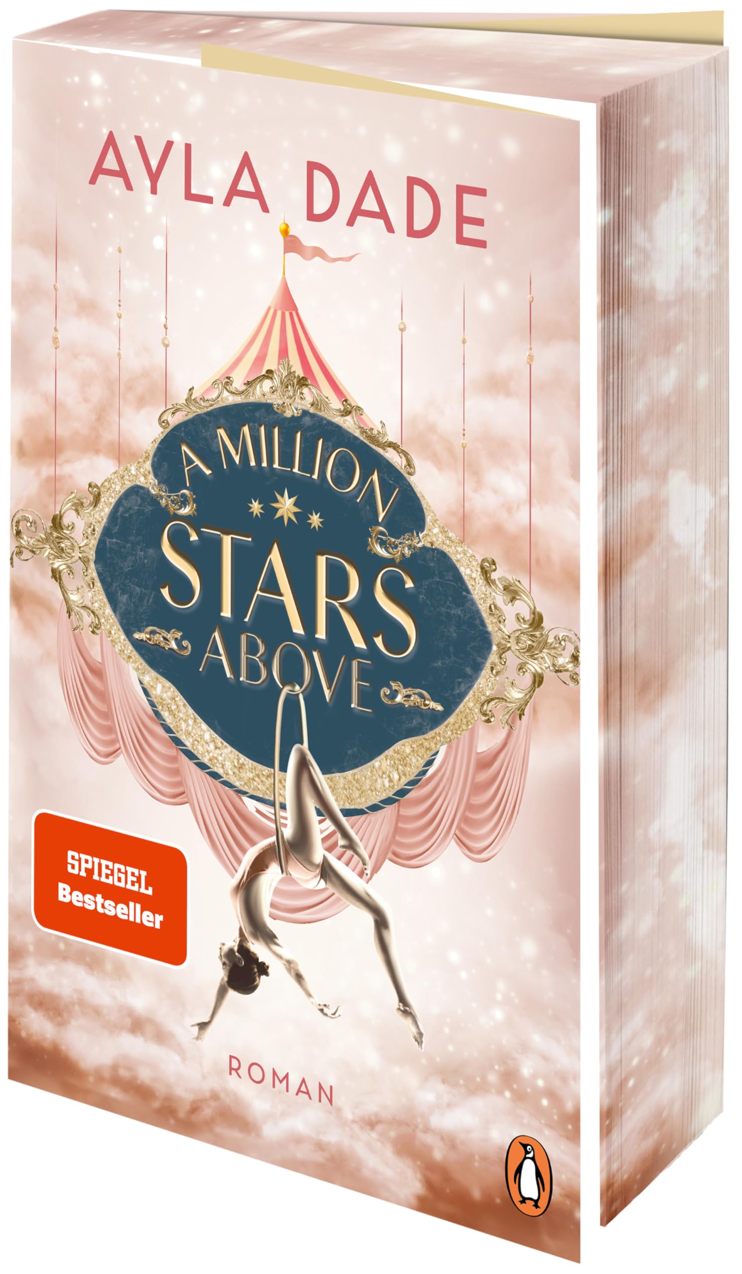 A Million Stars Above Contemporary literature Books