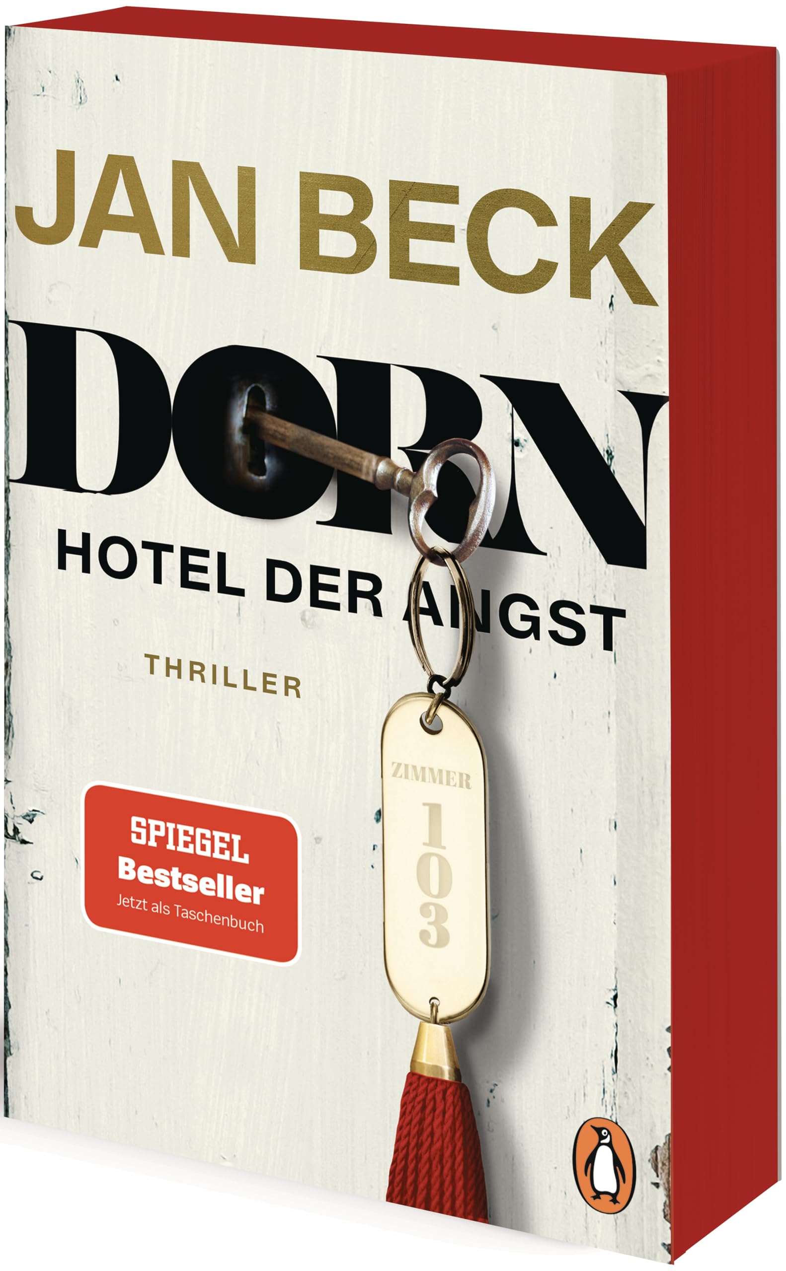 Dorn Contemporary literature