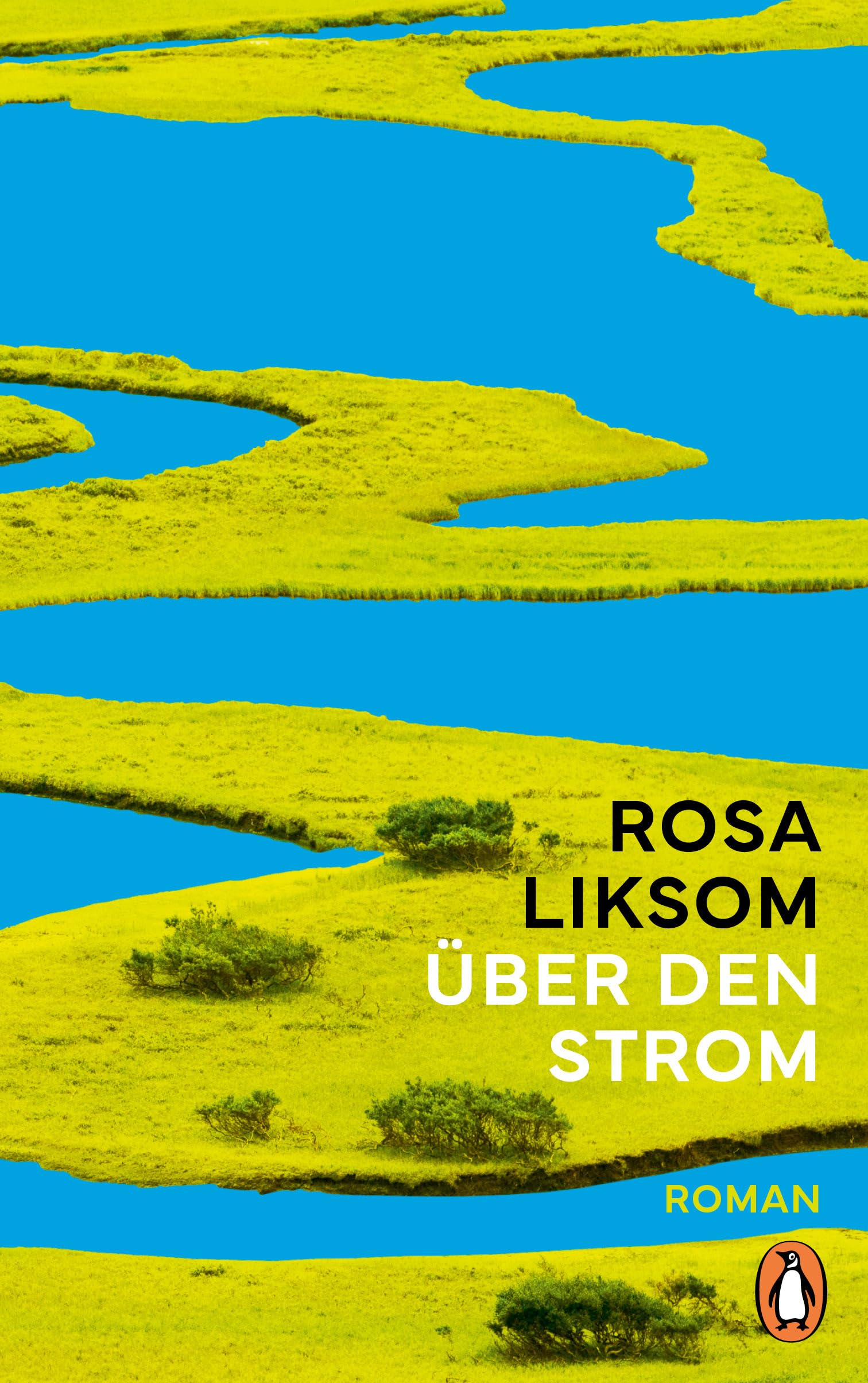 Über den Strom: Roman Contemporary literature