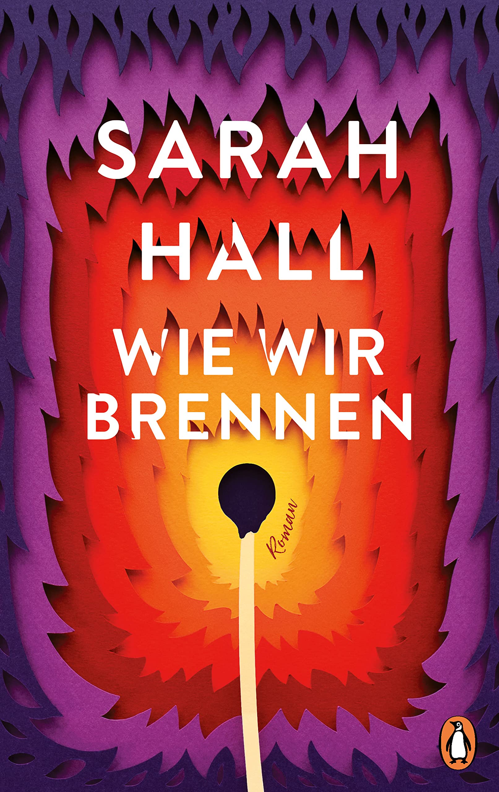 Wie wir brennen: Roman Contemporary literature