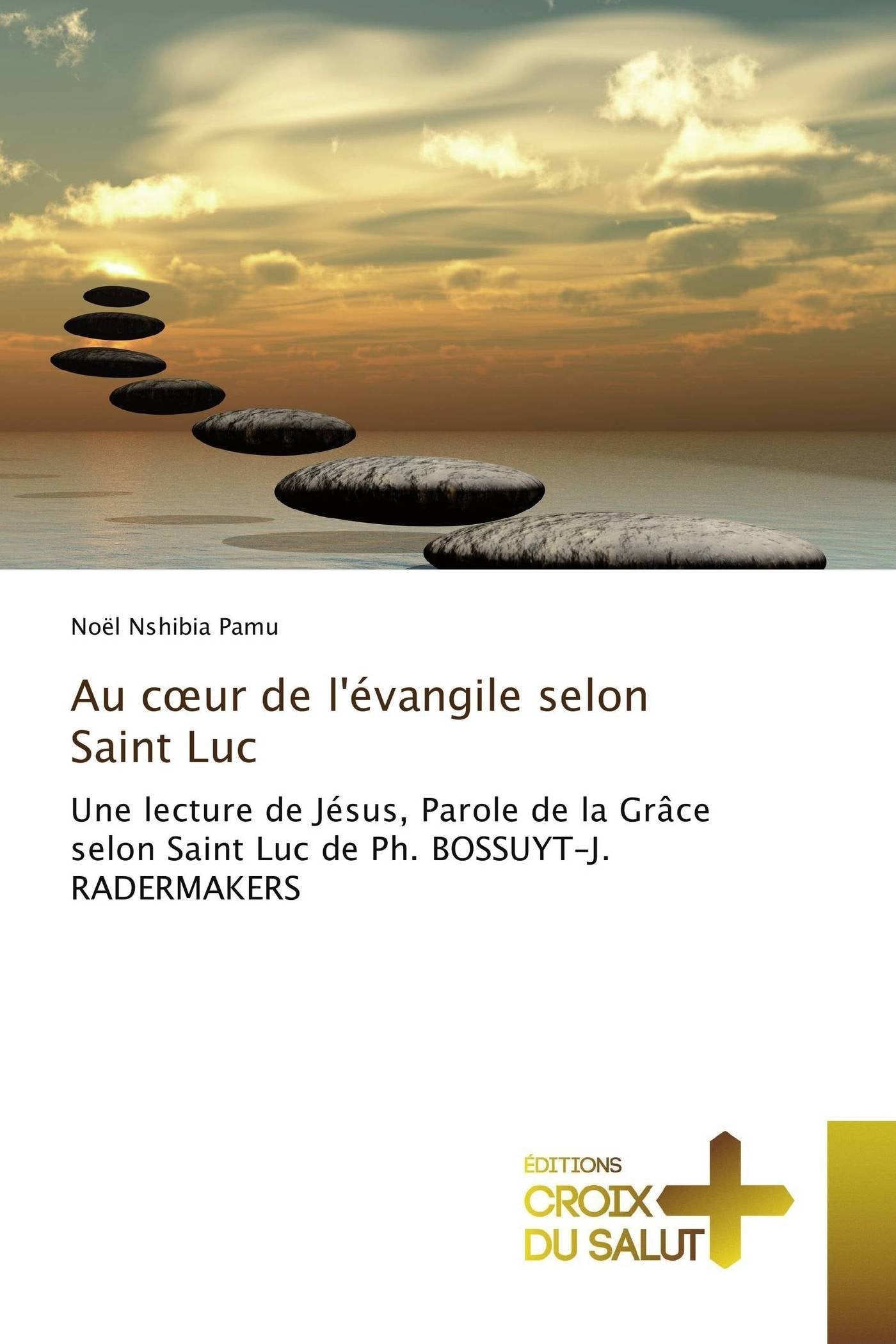Au cœur de l'évangile selon Saint Luc: Une lecture de Jésus, Parole de la Grâce selon Saint Luc de Ph. BOSSUYT-J. RADERMAKERS book