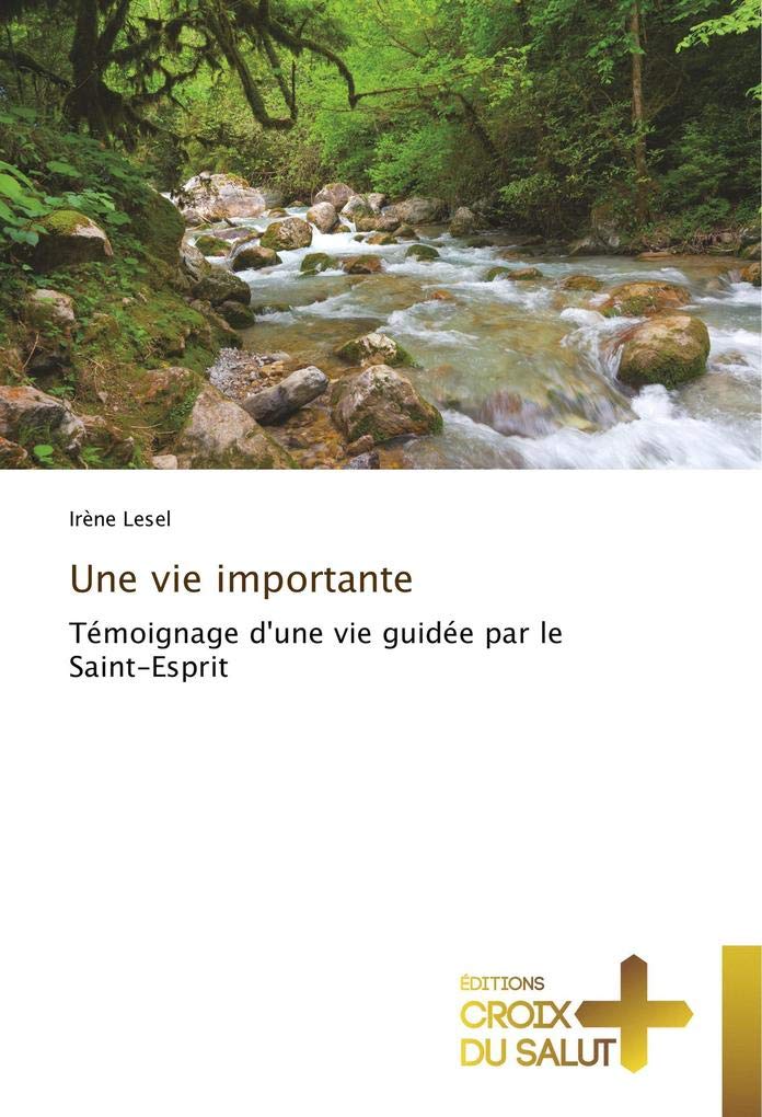 Une vie importante: Témoignage d'une vie guidée par le Saint-Esprit book