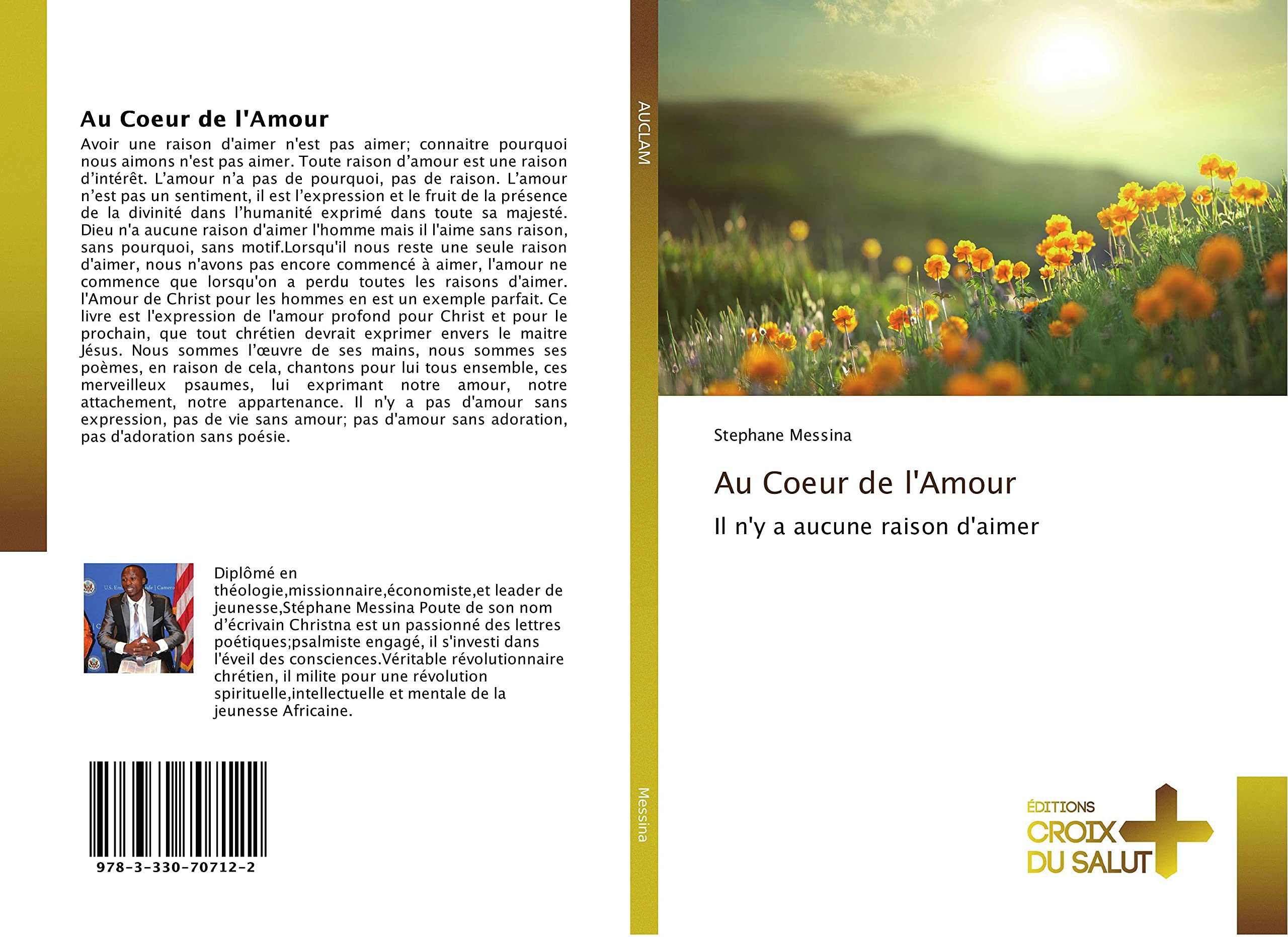 Au Coeur de l'Amour: Il n'y a aucune raison d'aimer book
