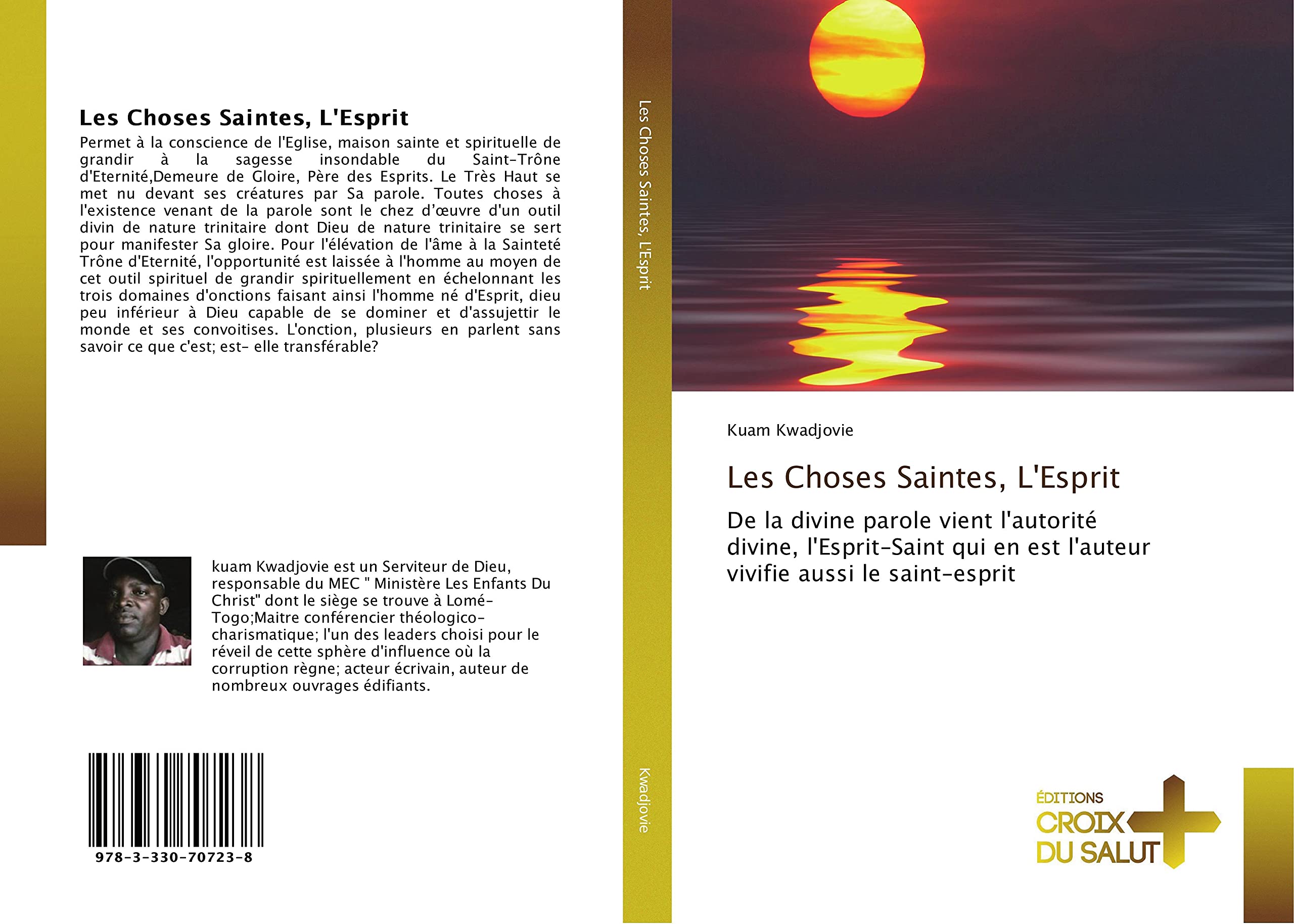 Les Choses Saintes, L'Esprit: De la divine parole vient l'autorité divine, l'Esprit-Saint qui en est l'auteur vivifie aussi le saint-esprit book