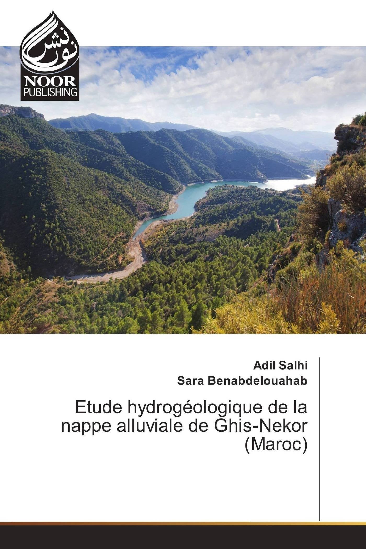 Etude hydrogéologique de la nappe alluviale de ghis-nekor (maroc) book