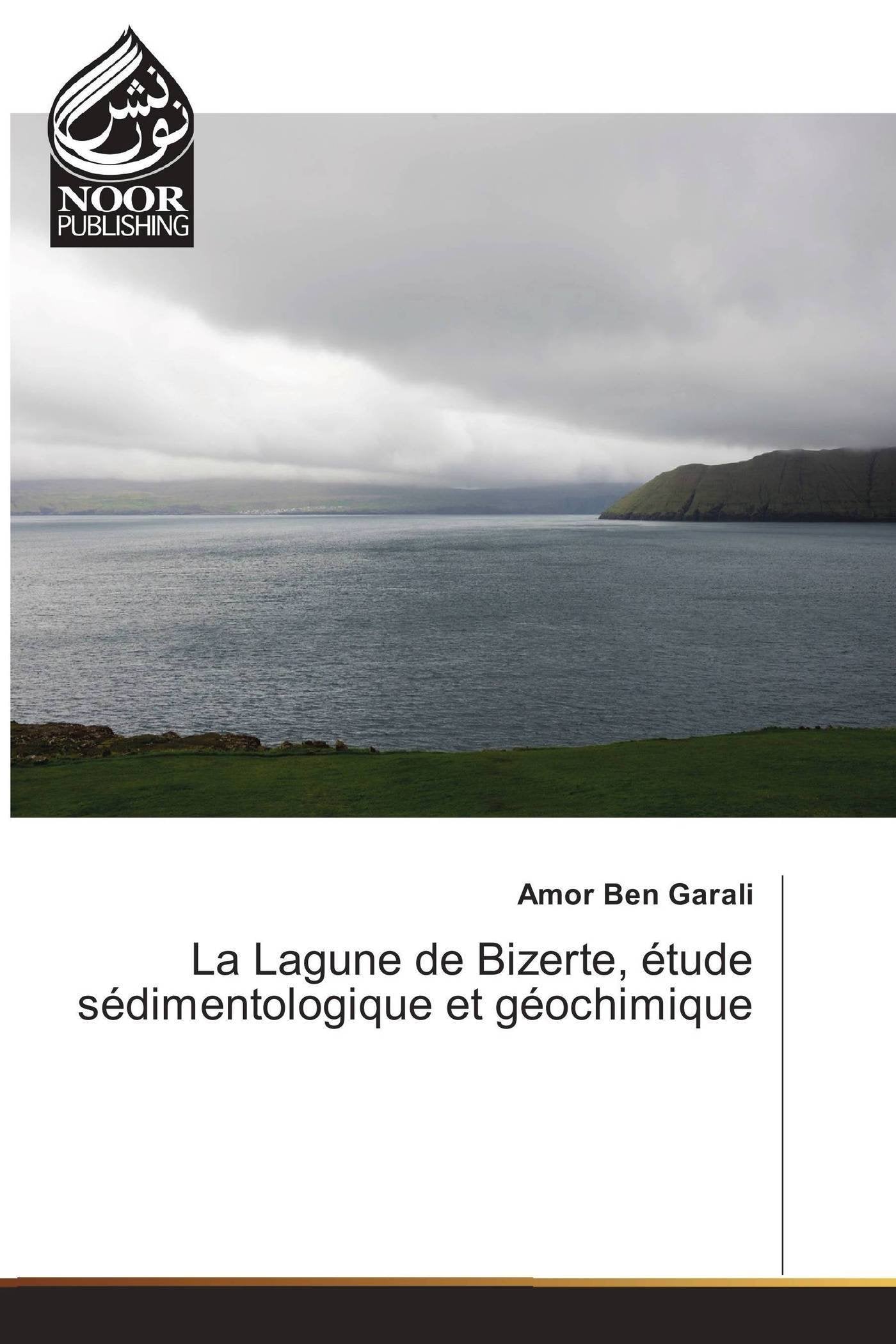 La Lagune de Bizerte, étude sédimentologique et géochimique book