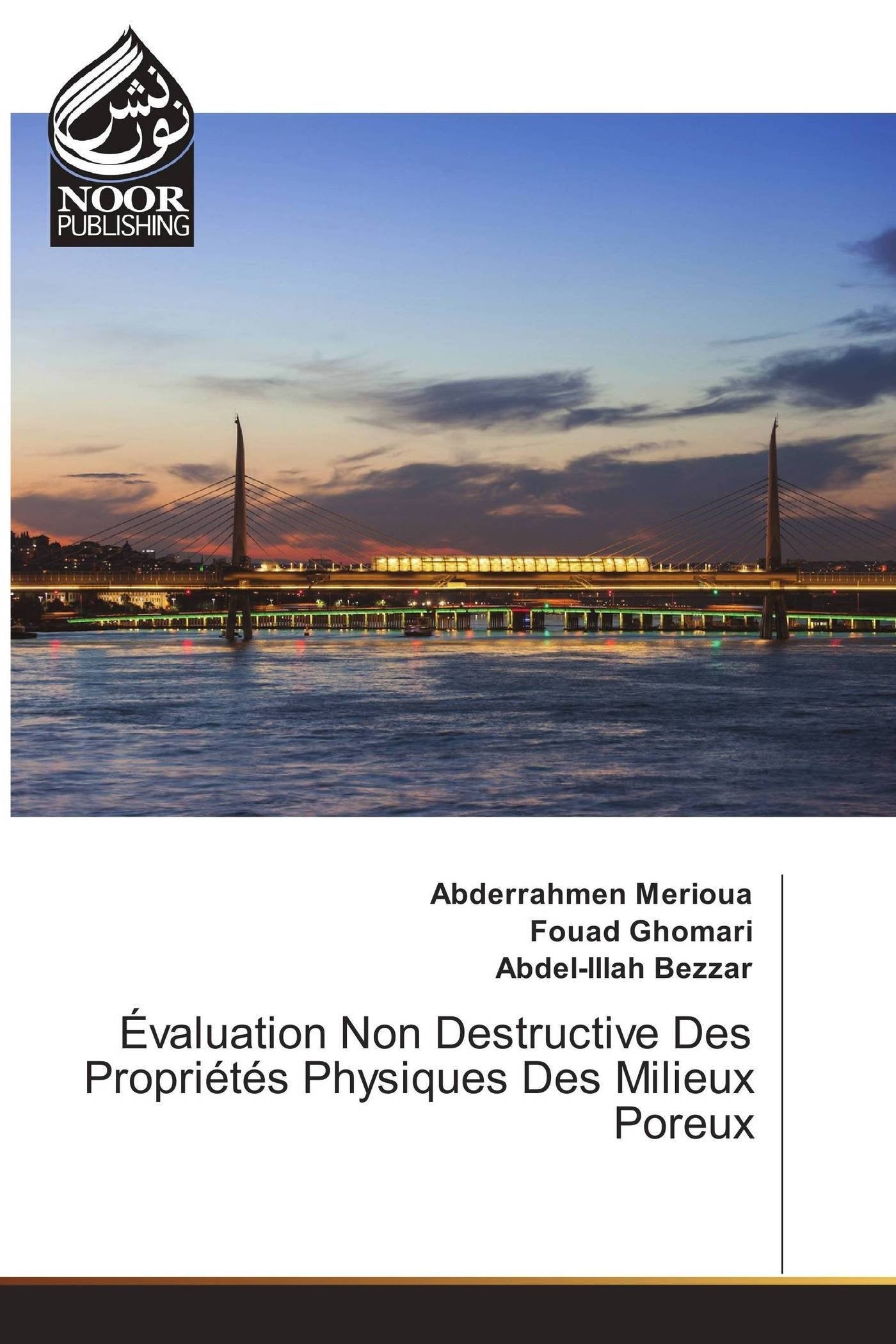 Évaluation Non Destructive Des Propriétés Physiques Des Milieux Poreux book