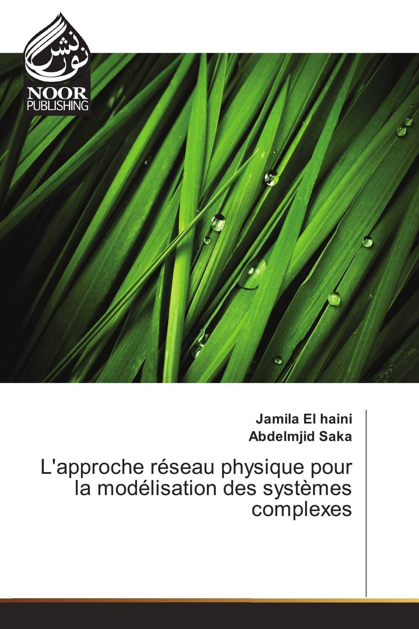 L'approche réseau physique pour la modélisation des systèmes complexes book