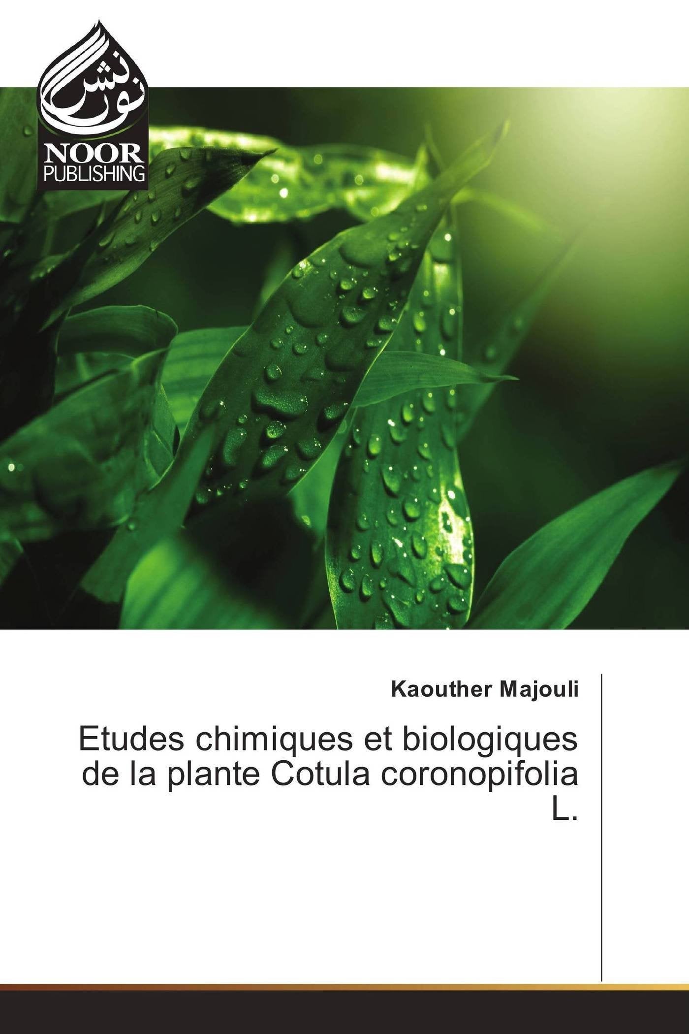 Etudes chimiques et biologiques de la plante Cotula coronopifolia L. book
