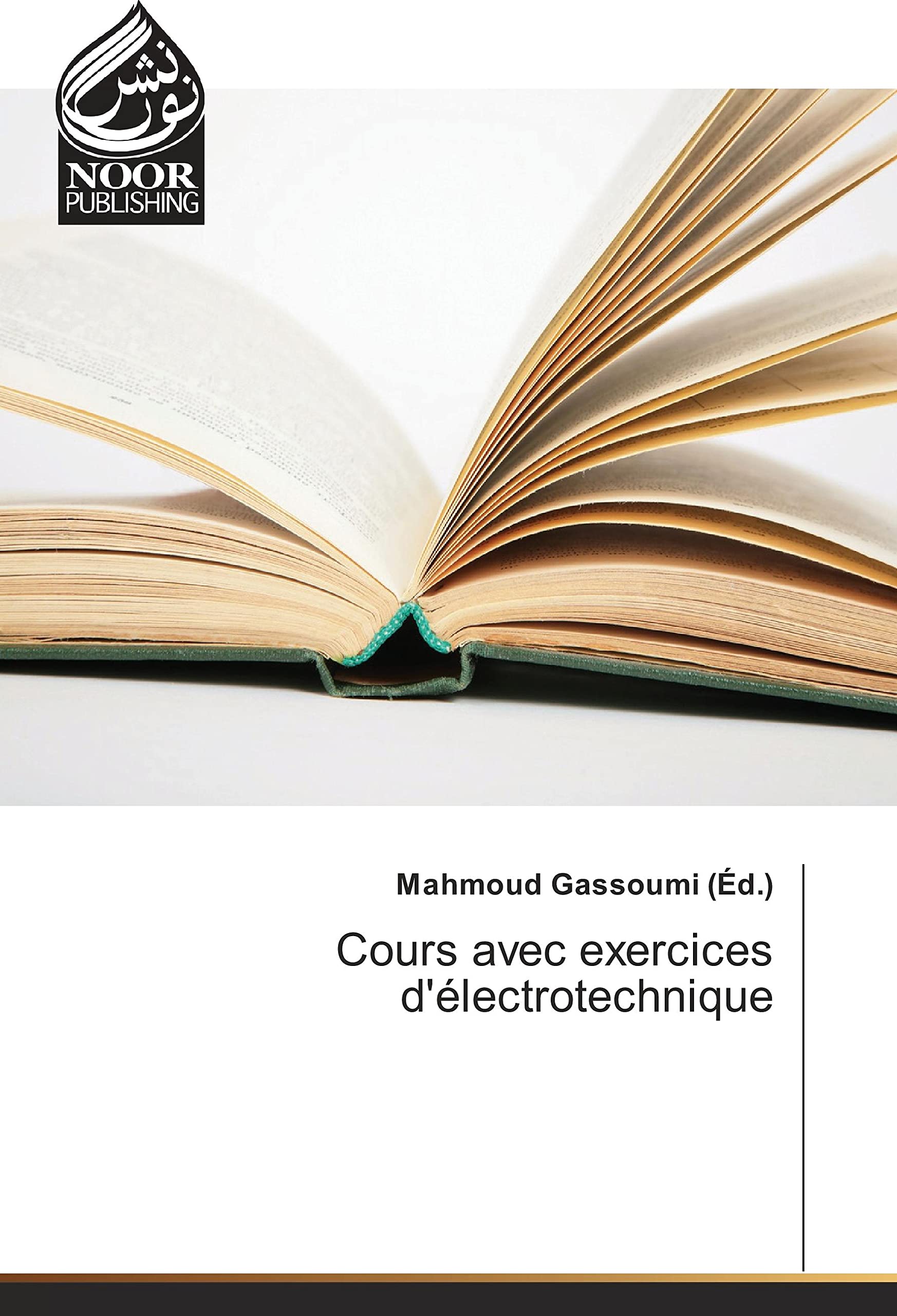 Machines statiques et dynamiques: Cours avec exercices d'électrotechnique book