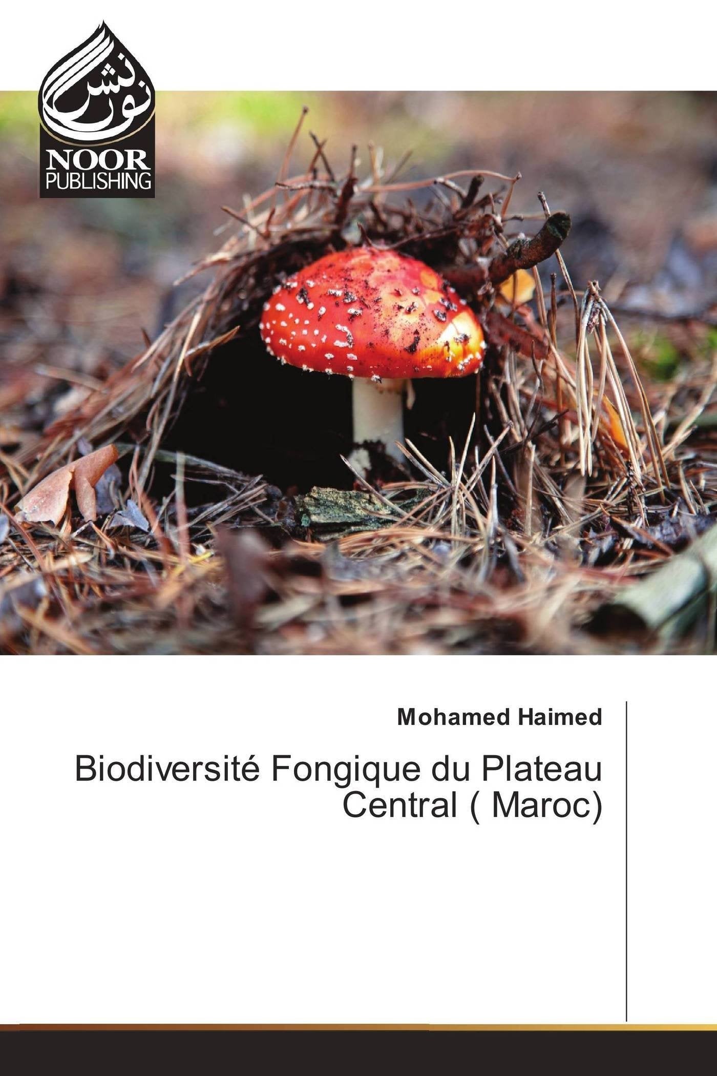 Biodiversité Fongique du Plateau Central ( Maroc) book