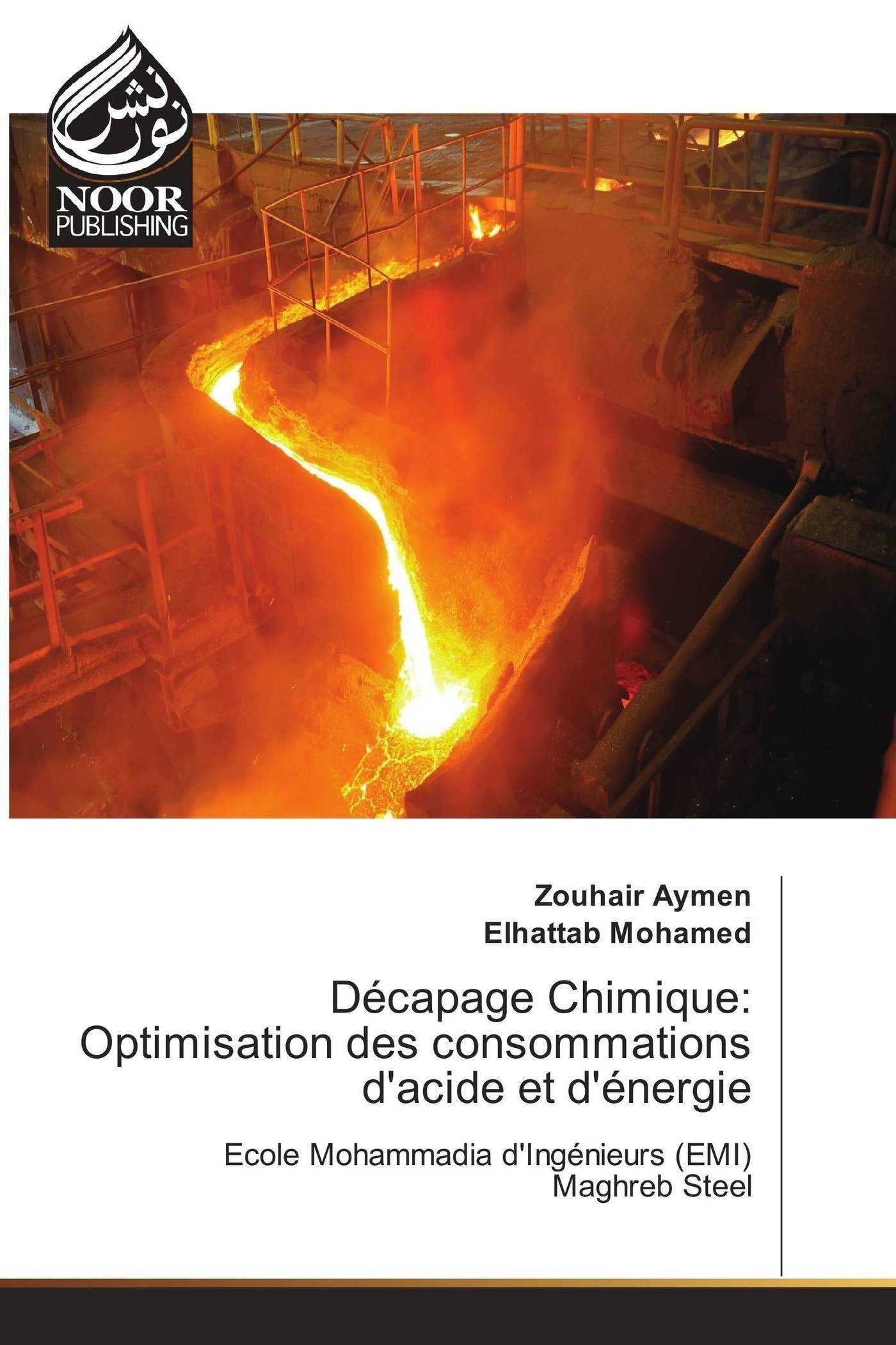 Décapage Chimique: Optimisation des consommations d'acide et d'énergie: Ecole Mohammadia d'Ingénieurs (EMI) Maghreb Steel book