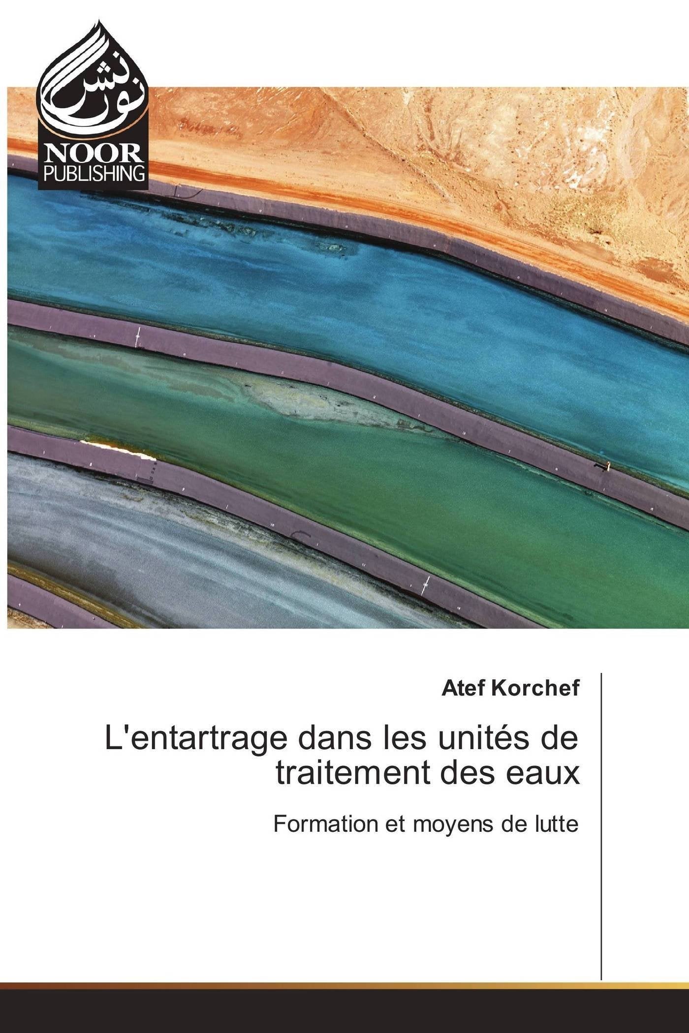 L'entartrage dans les unités de traitement des eaux: Formation et moyens de lutte book