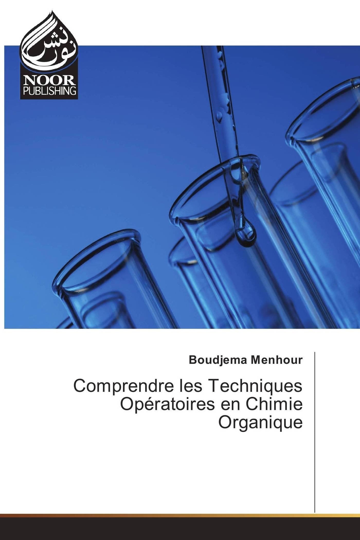 Comprendre les Techniques Opératoires en Chimie Organique book