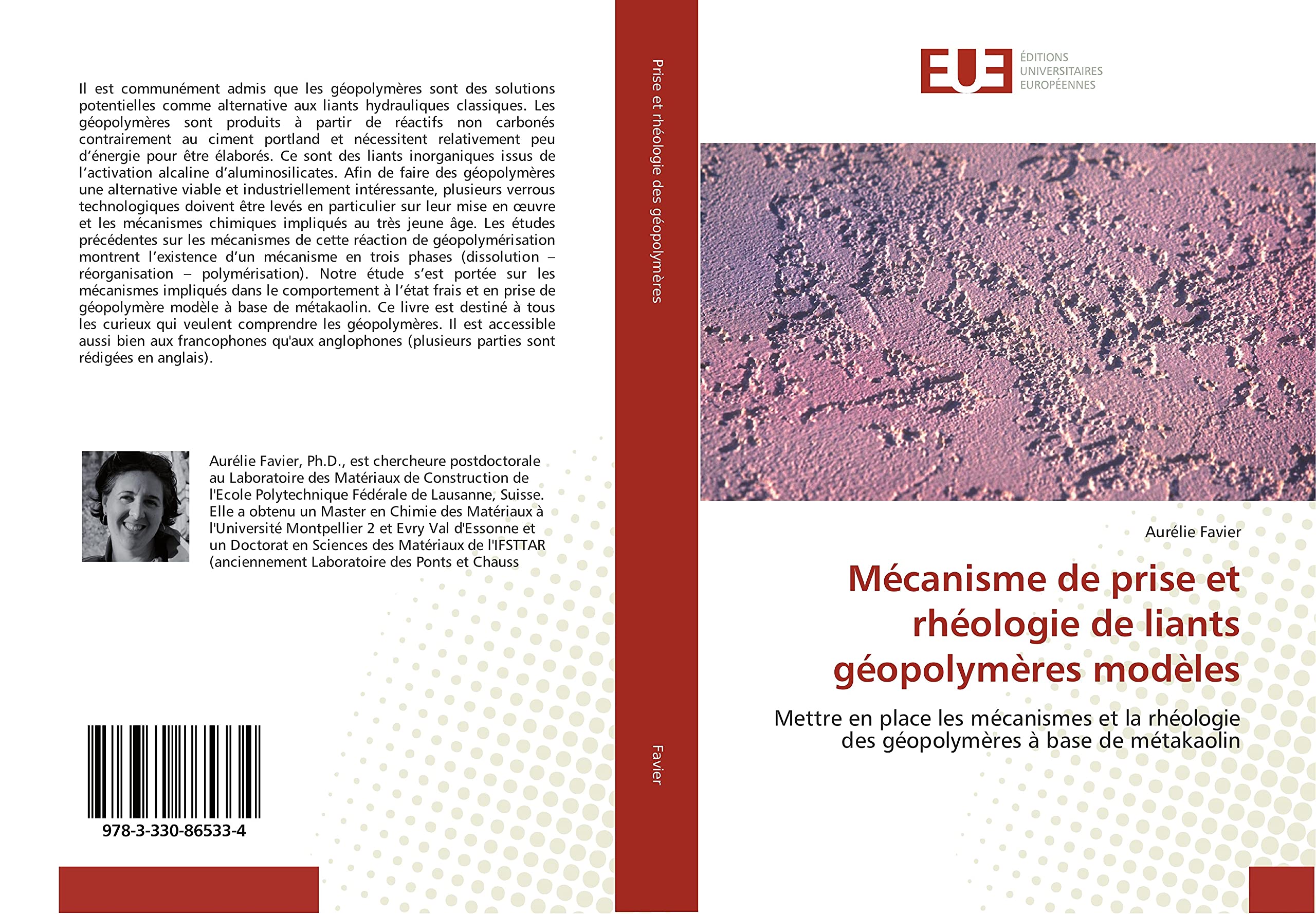 Mécanisme de prise et rhéologie de liants géopolymères modèles book