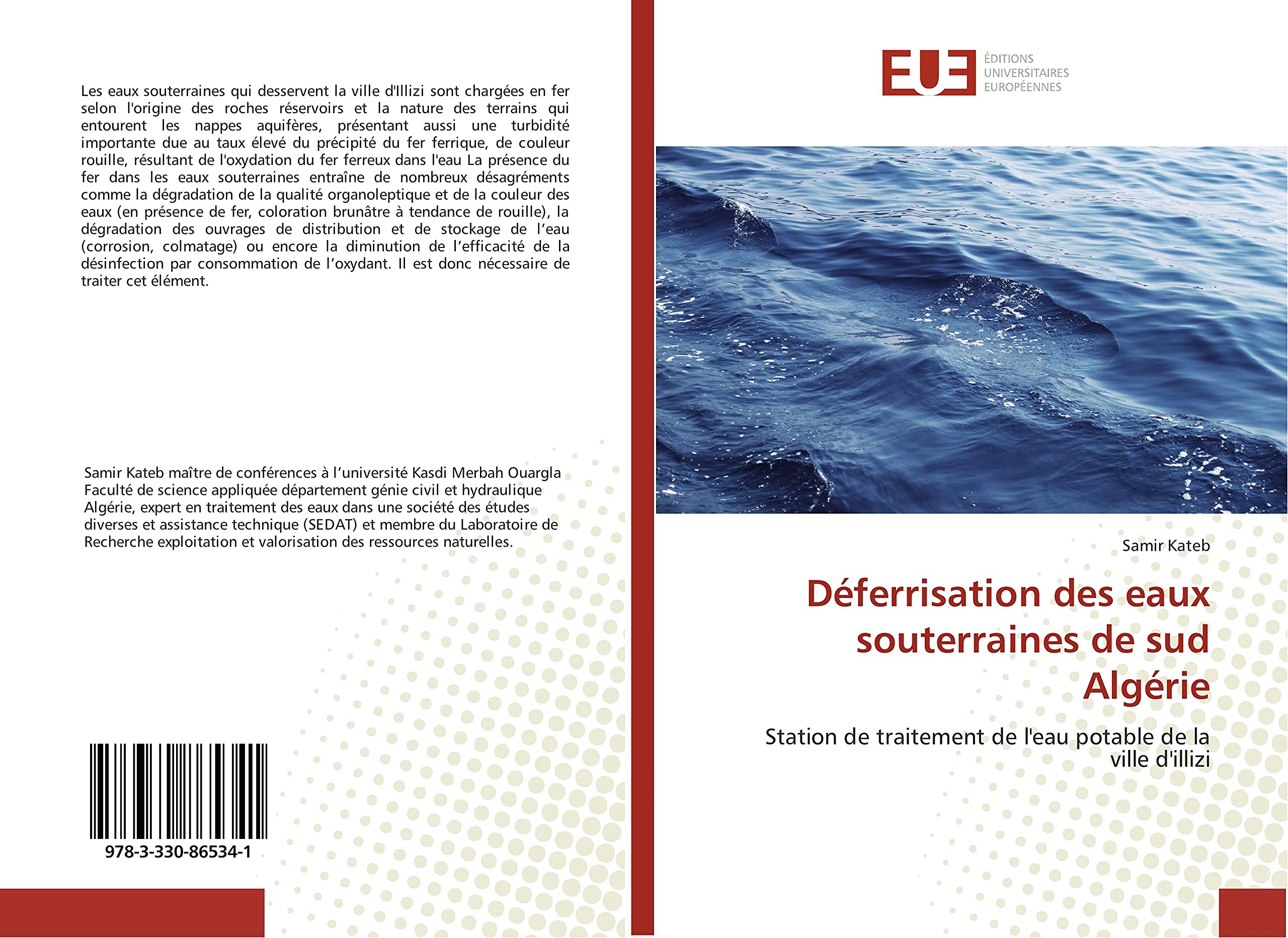 Déferrisation des eaux souterraines de sud Algérie: Station de traitement de l'eau potable de la ville d'illizi book