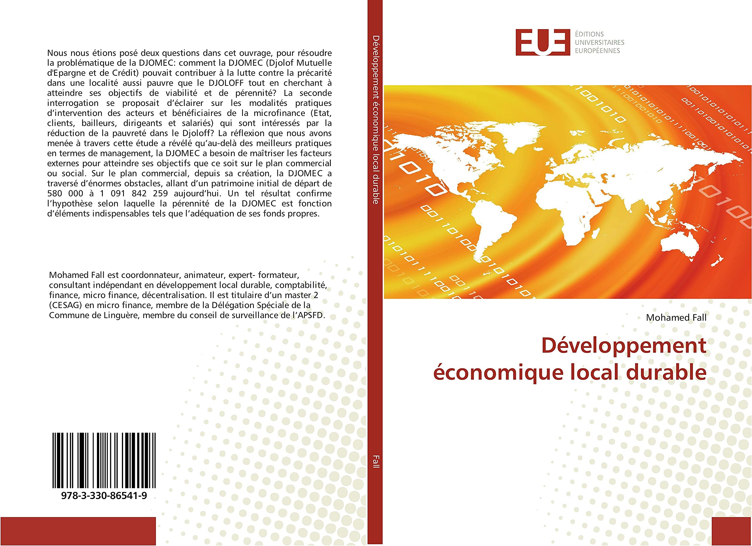 Développement économique local durable book