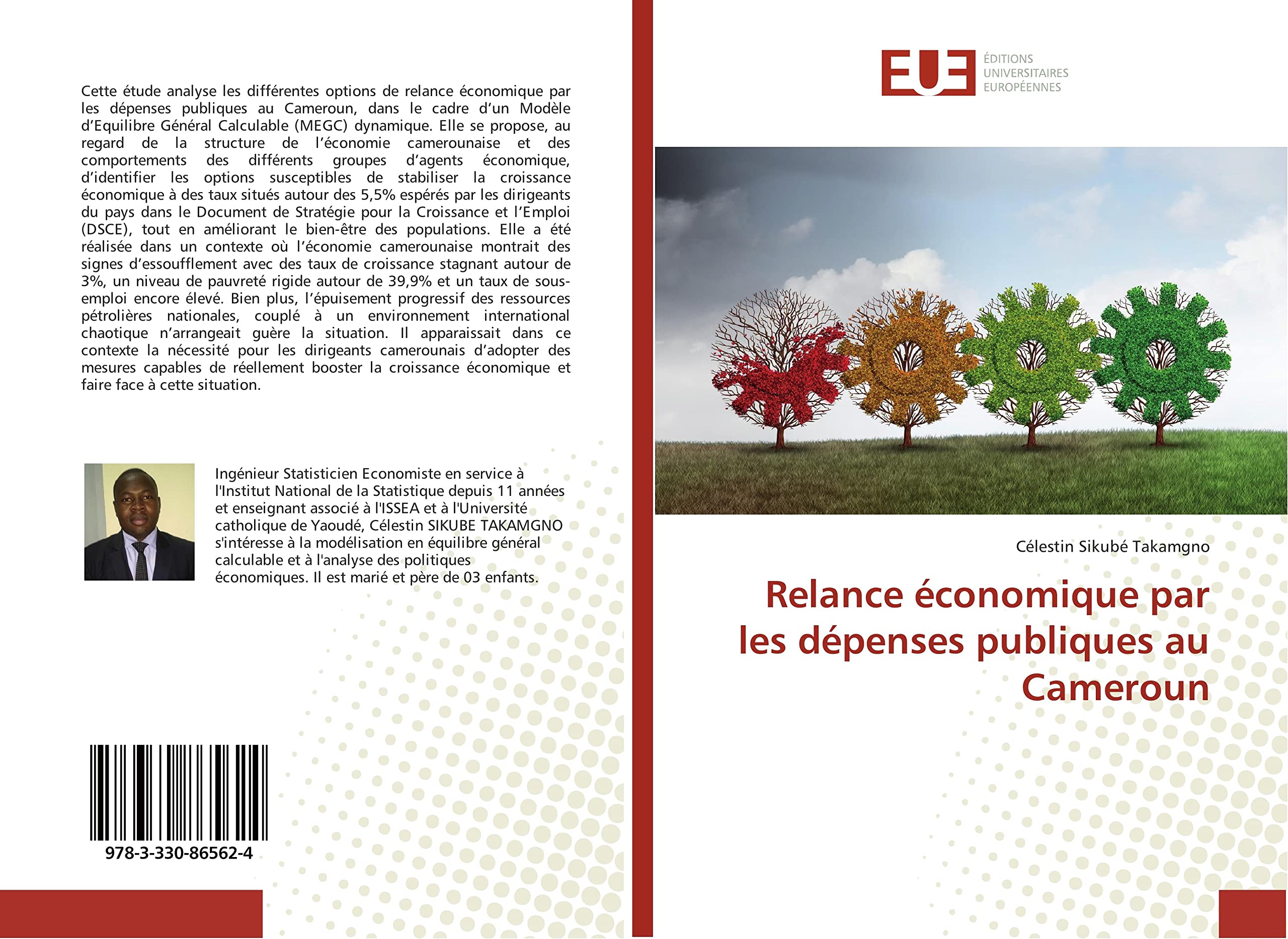Relance economique par les depenses publiques au Cameroun book