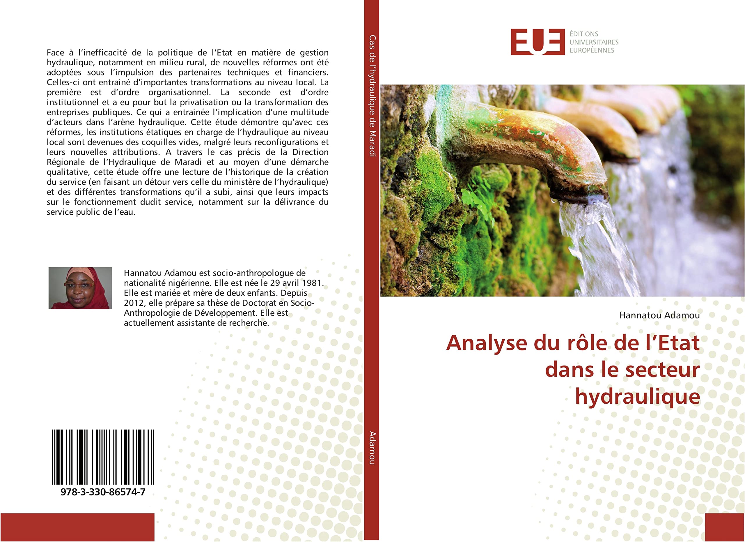 Analyse du role de l'etat dans le secteur hydraulique book