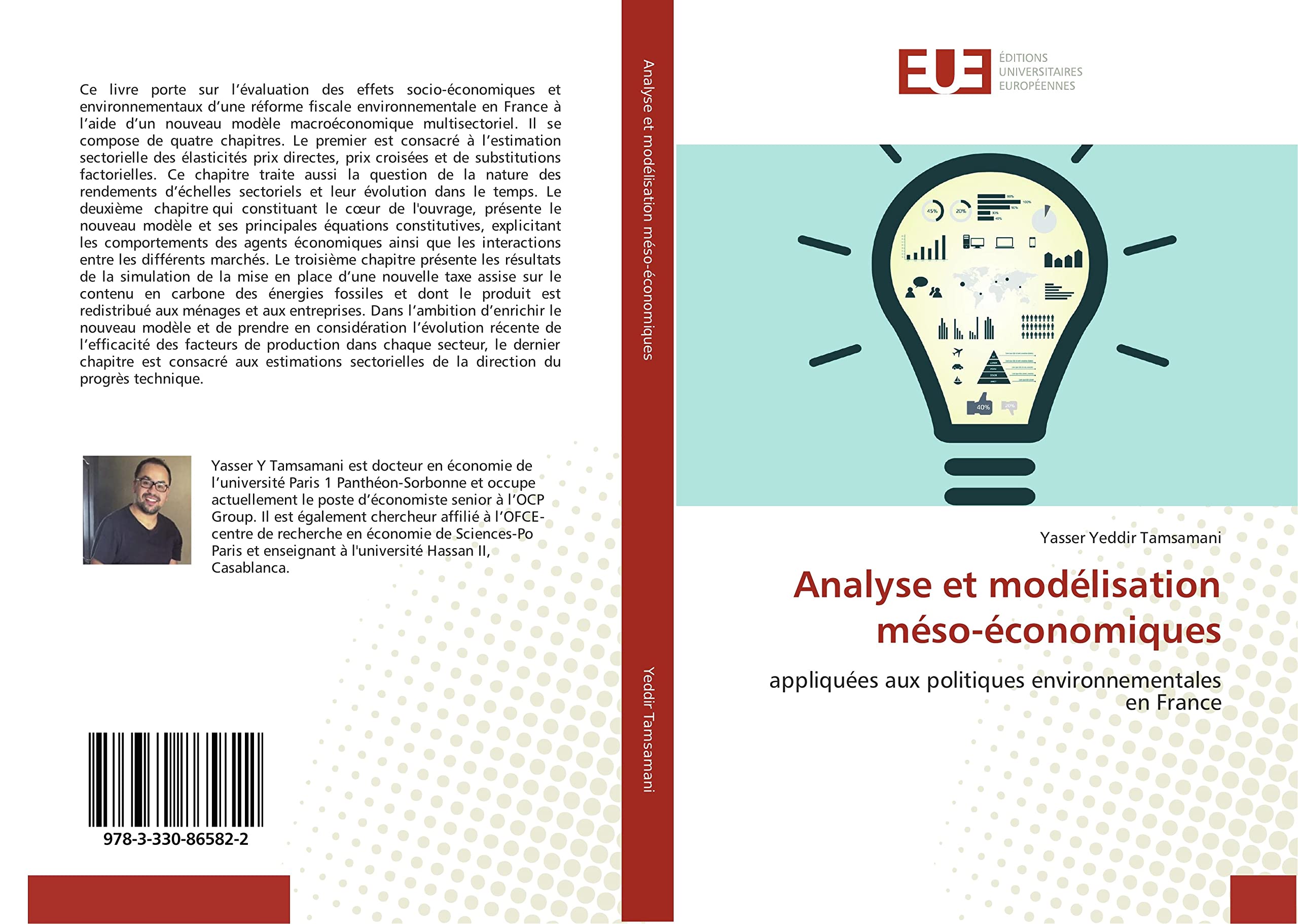 Analyse et modélisation méso-économiques: appliquées aux politiques environnementales en France book