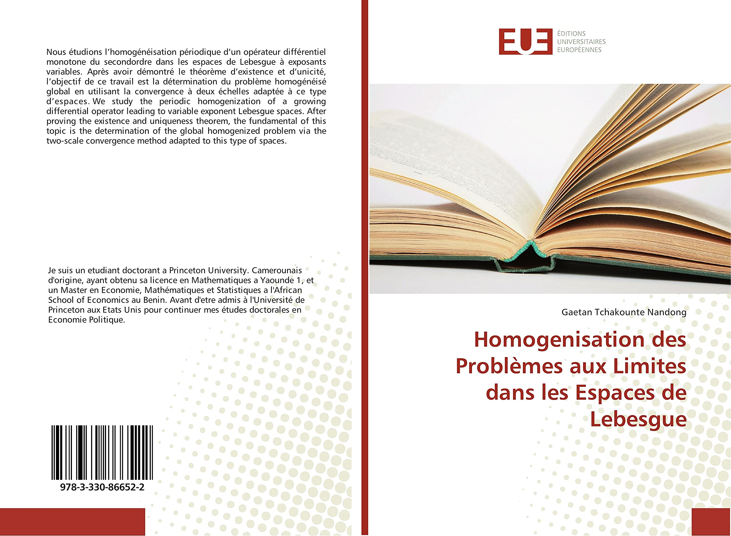 Homogenisation des Problèmes aux Limites dans les Espaces de Lebesgue book
