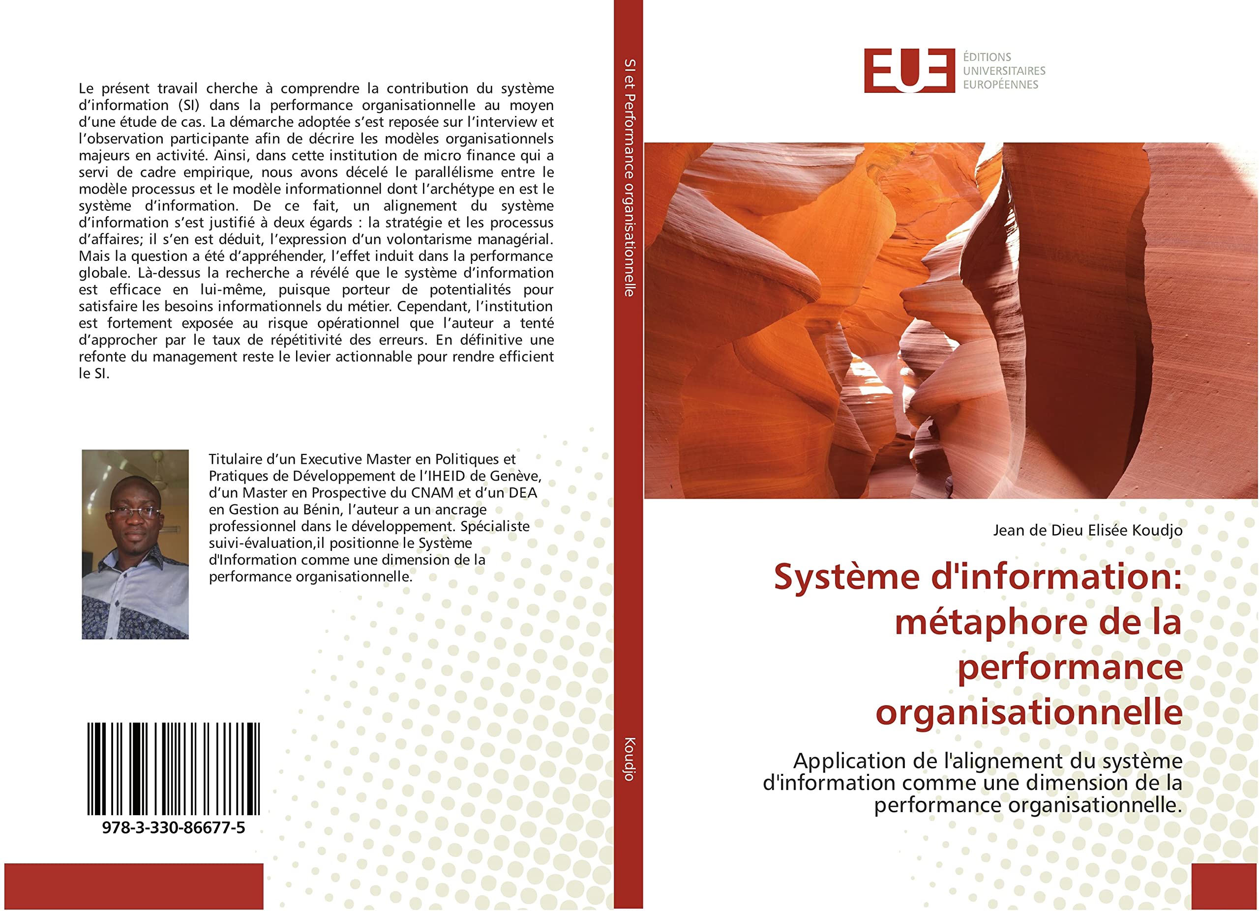 systeme d'information: metaphore de la performance organisationnelle: Application de l'alignement du systeme d'information comme une dimension de la performance organis book