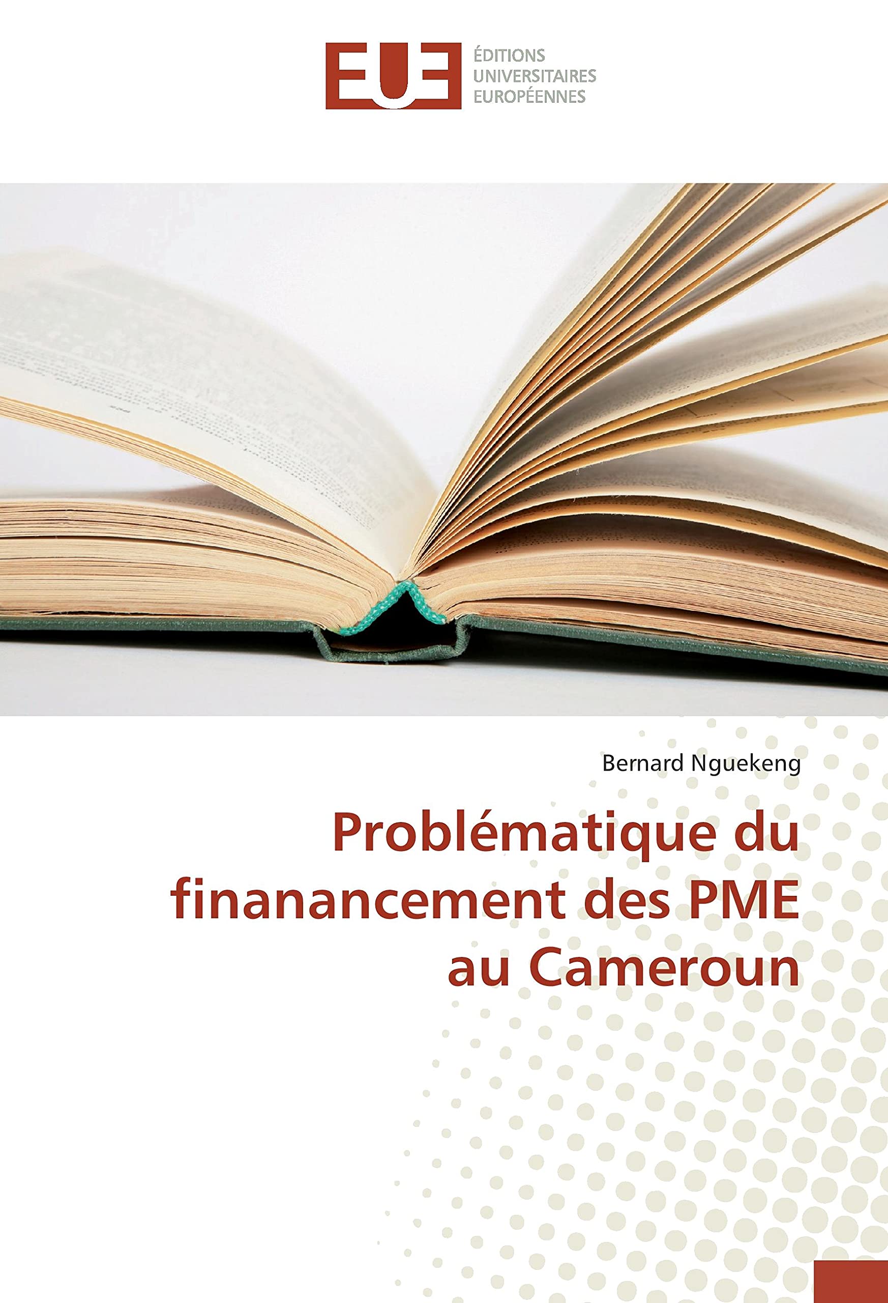 Problématique du finanancement des PME au Cameroun book