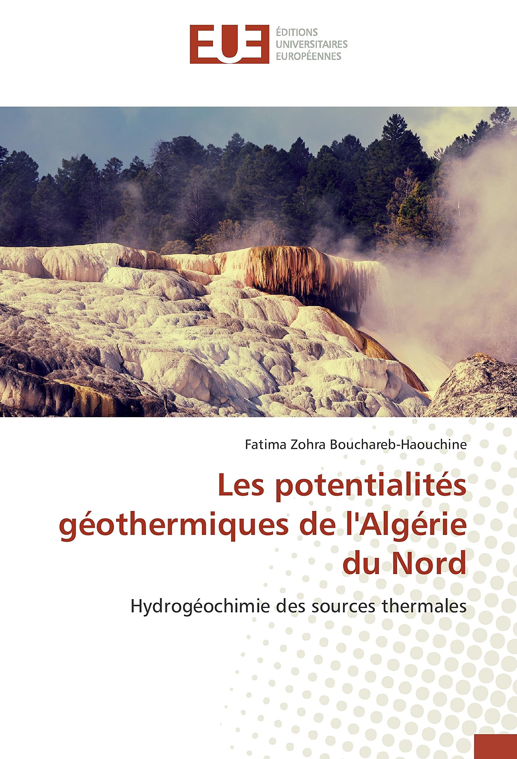 Les potentialités géothermiques de l'Algérie du Nord: Hydrogéochimie des sources thermales book