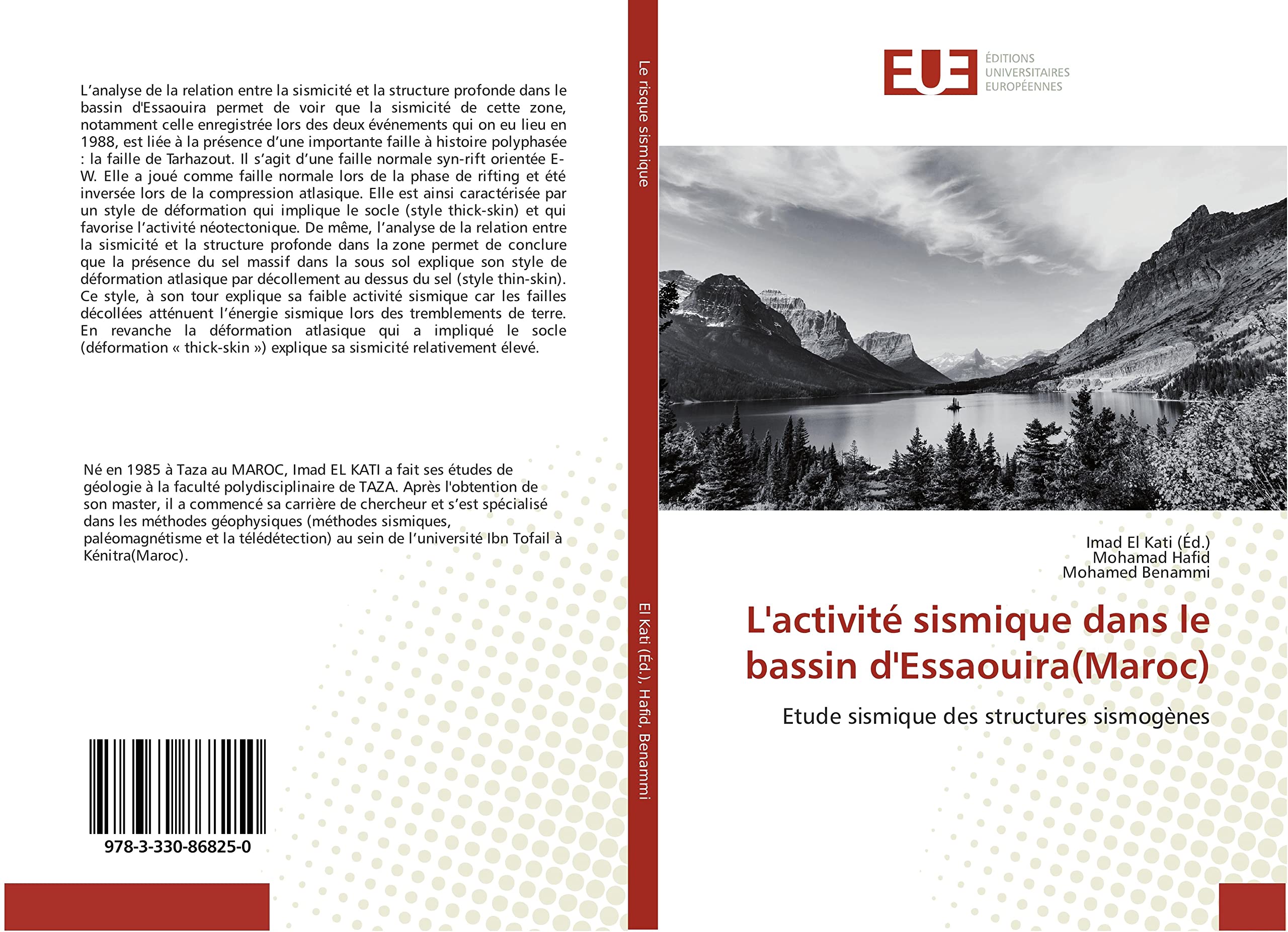 L'activité sismique dans le bassin d'Essaouira(Maroc): Etude sismique des structures sismogènes book