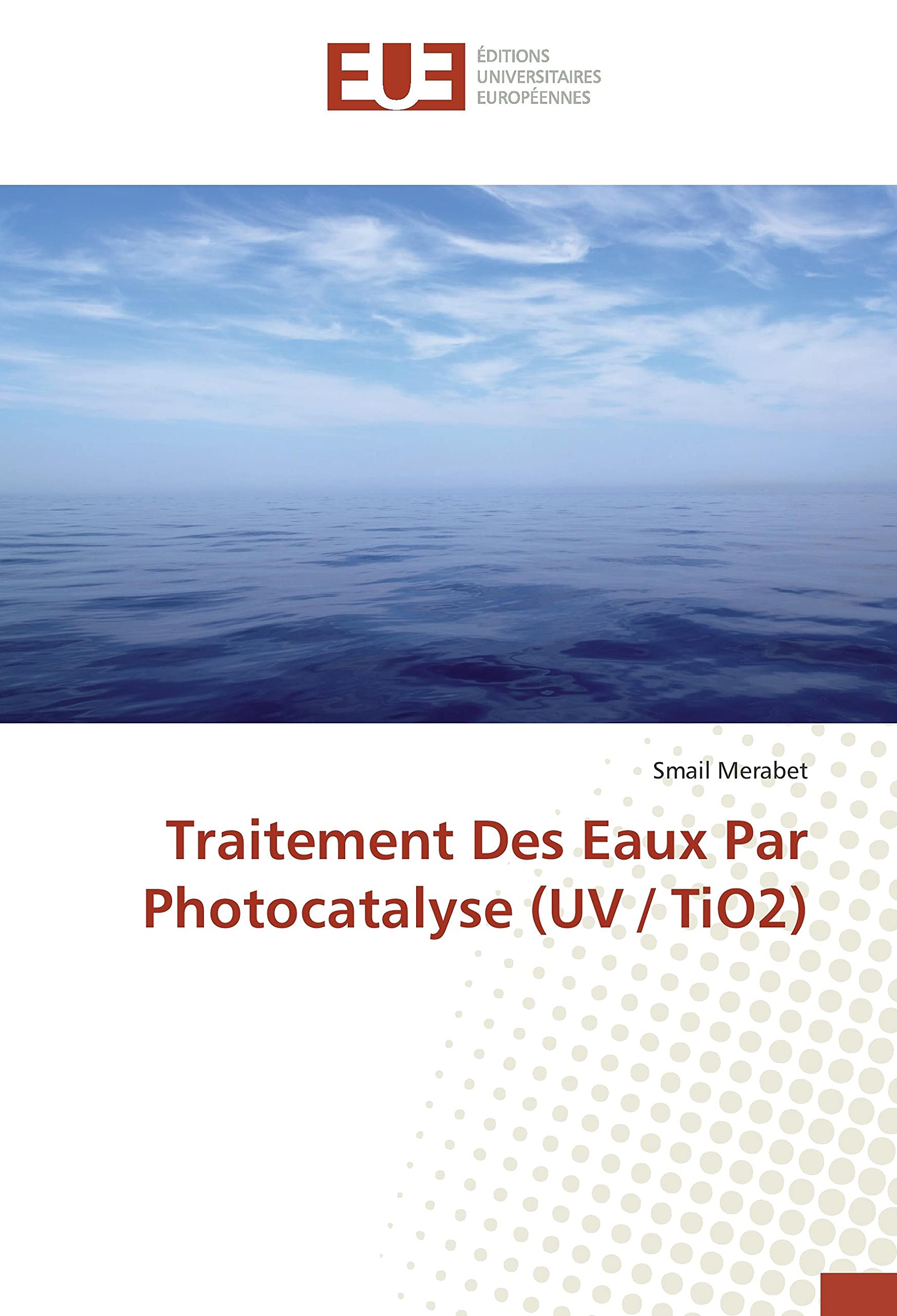 Traitement Des Eaux Par Photocatalyse (UV / TiO2) book