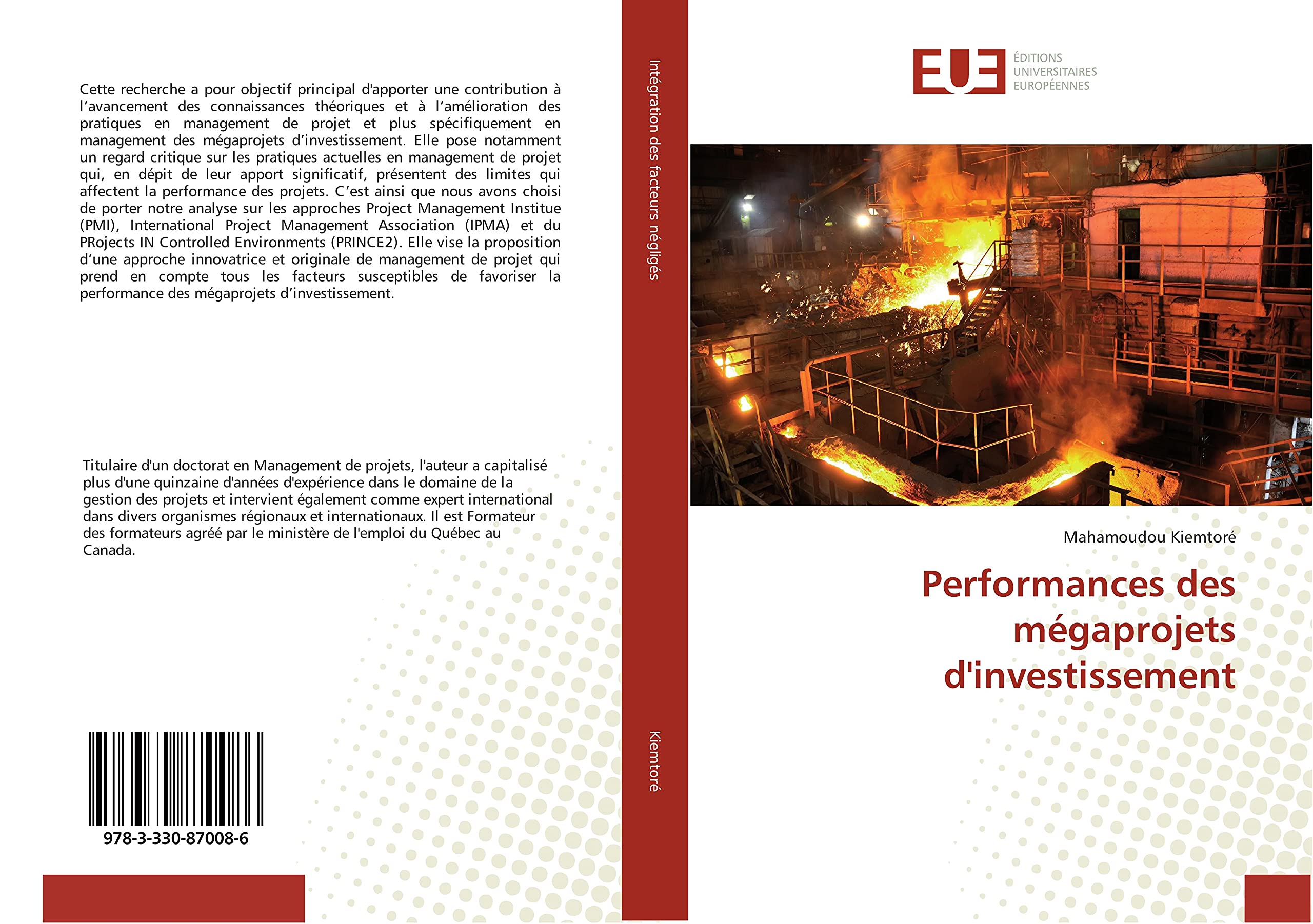 Performances des mégaprojets d'investissement book