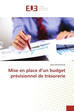 Mise en place d'un budget prévisionnel de trésorerie book