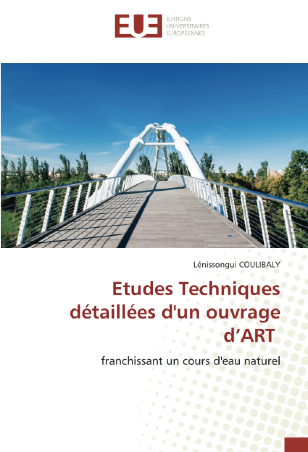 Etudes Techniques détaillées d'un ouvrage d’ART: franchissant un cours d'eau naturel book