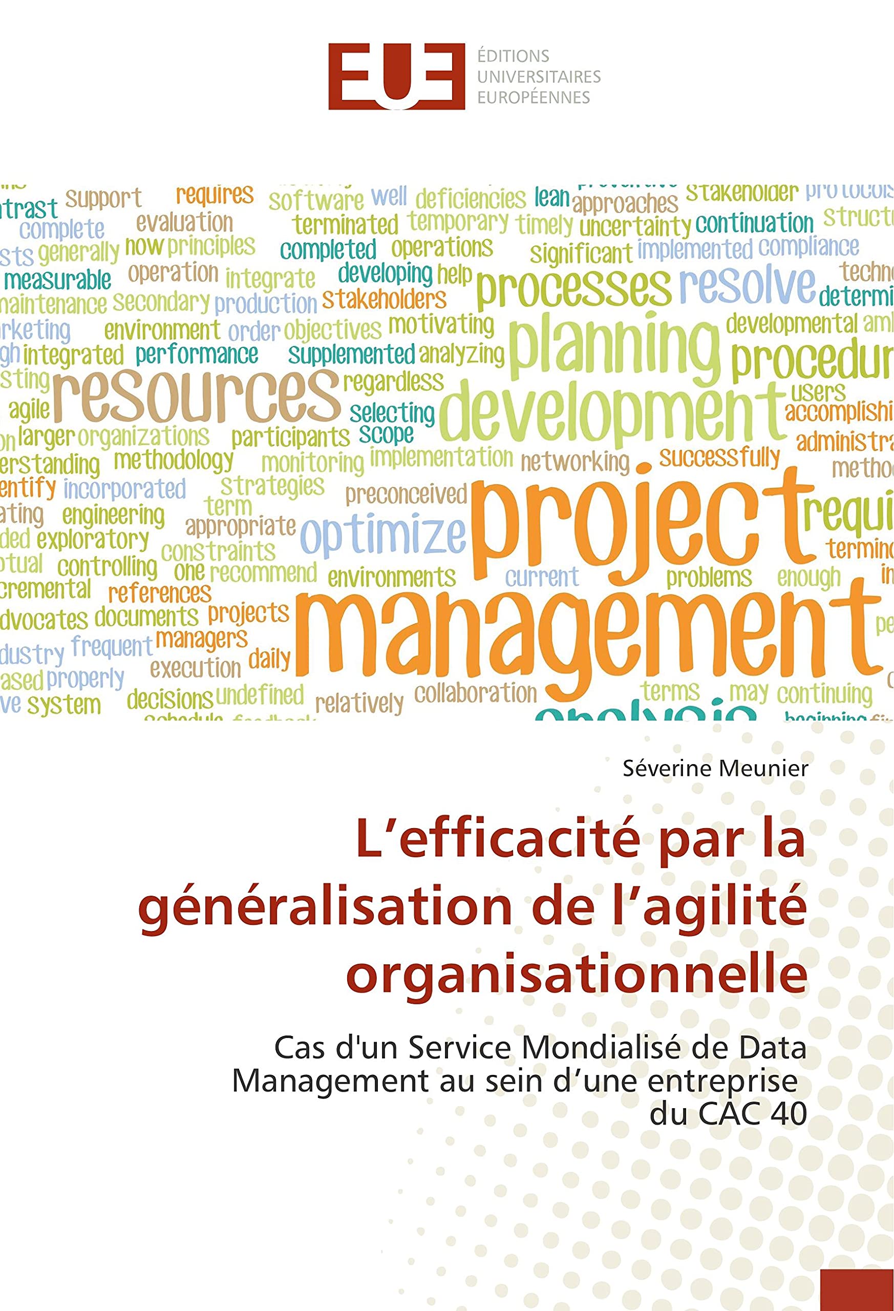 L’efficacité par la généralisation de l’agilité organisationnelle: Cas d'un Service Mondialisé de Data Management au sein d’une entreprise du CAC 40 book