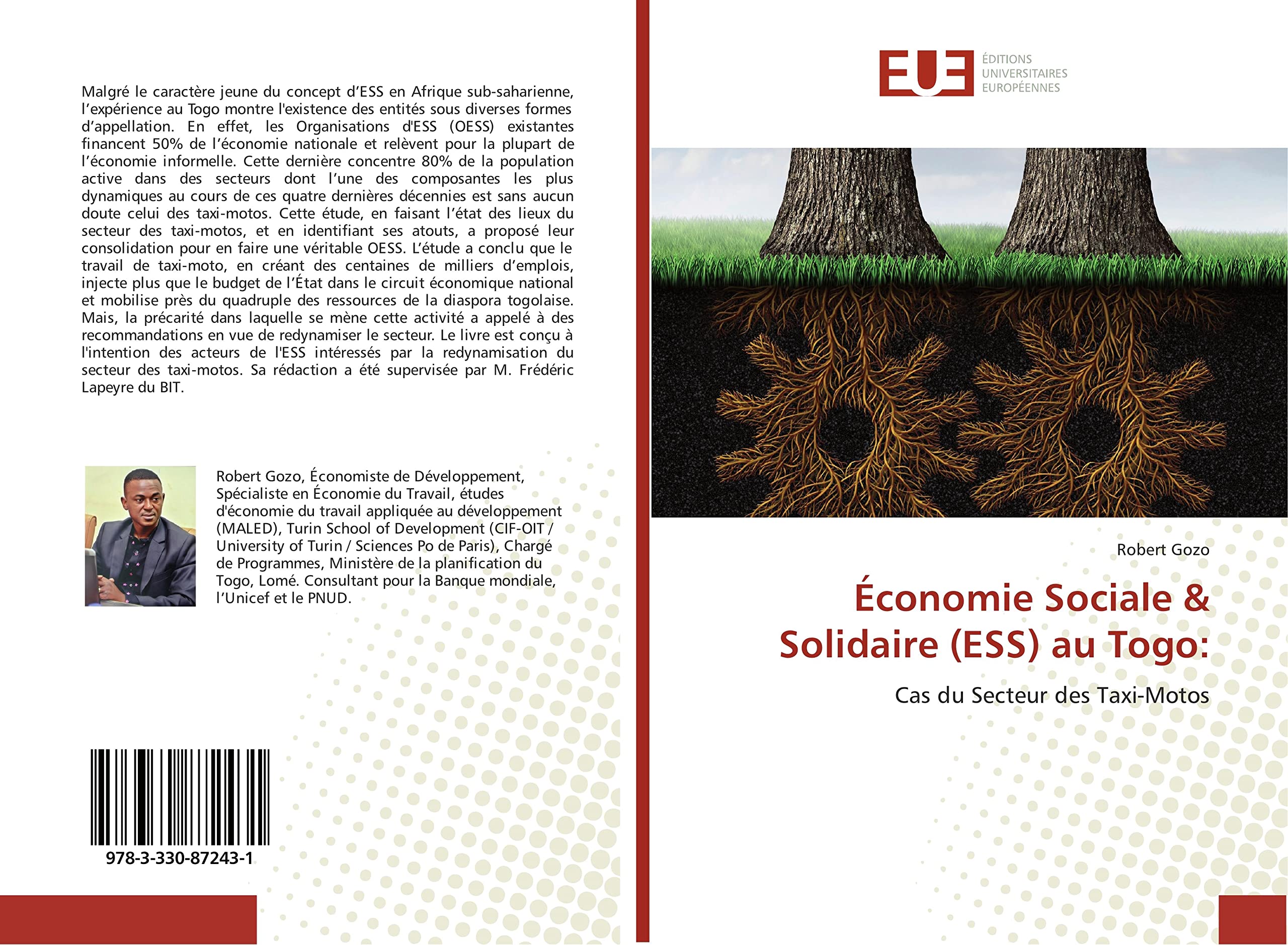 Économie Sociale & Solidaire (ESS) au Togo:: Cas du Secteur des Taxi-Motos book