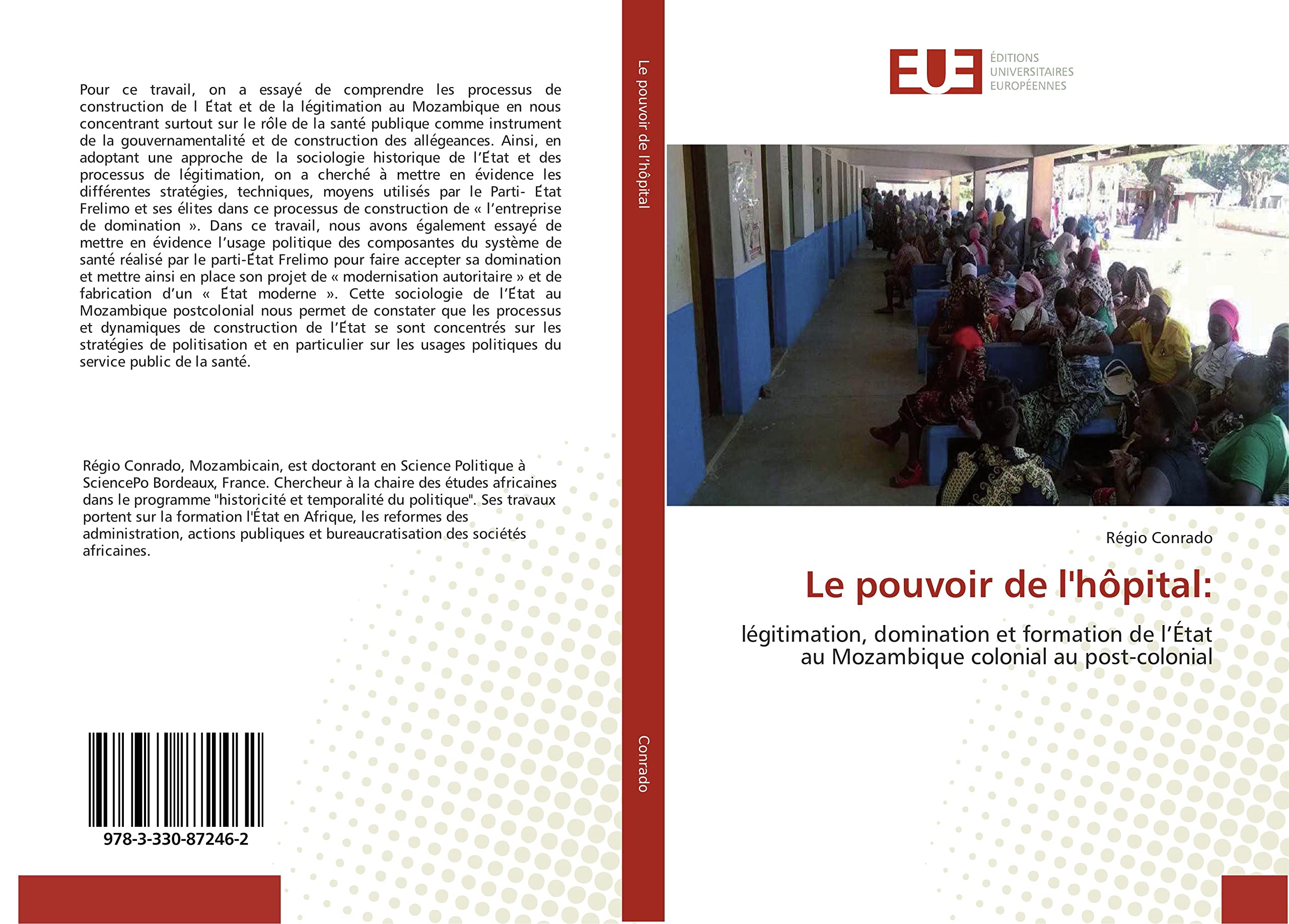 Le pouvoir de l'hôpital:: légitimation, domination et formation de l’État au Mozambique colonial au post-colonial book