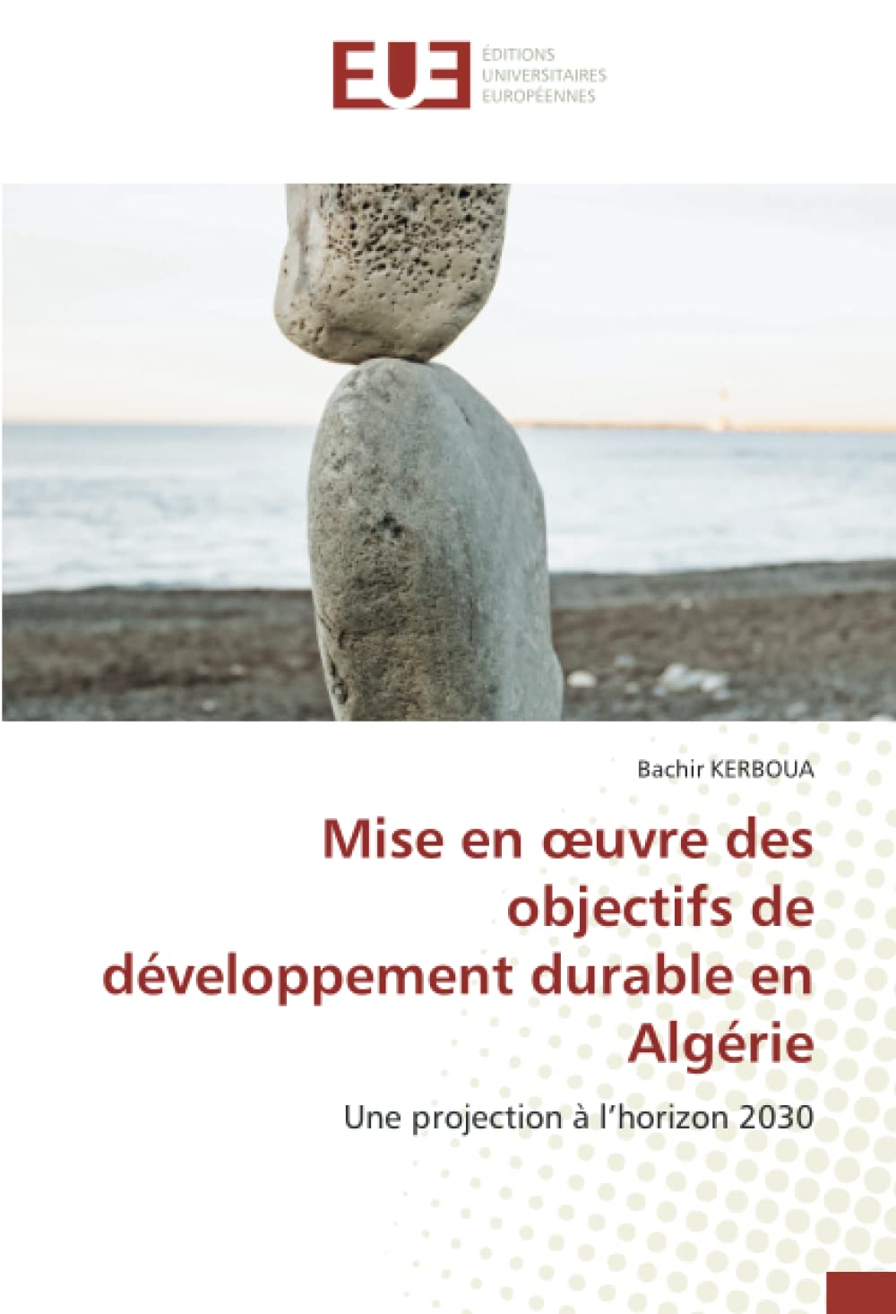 Mise en œuvre des objectifs de développement durable en Algérie: Une projection à l’horizon 2030 book