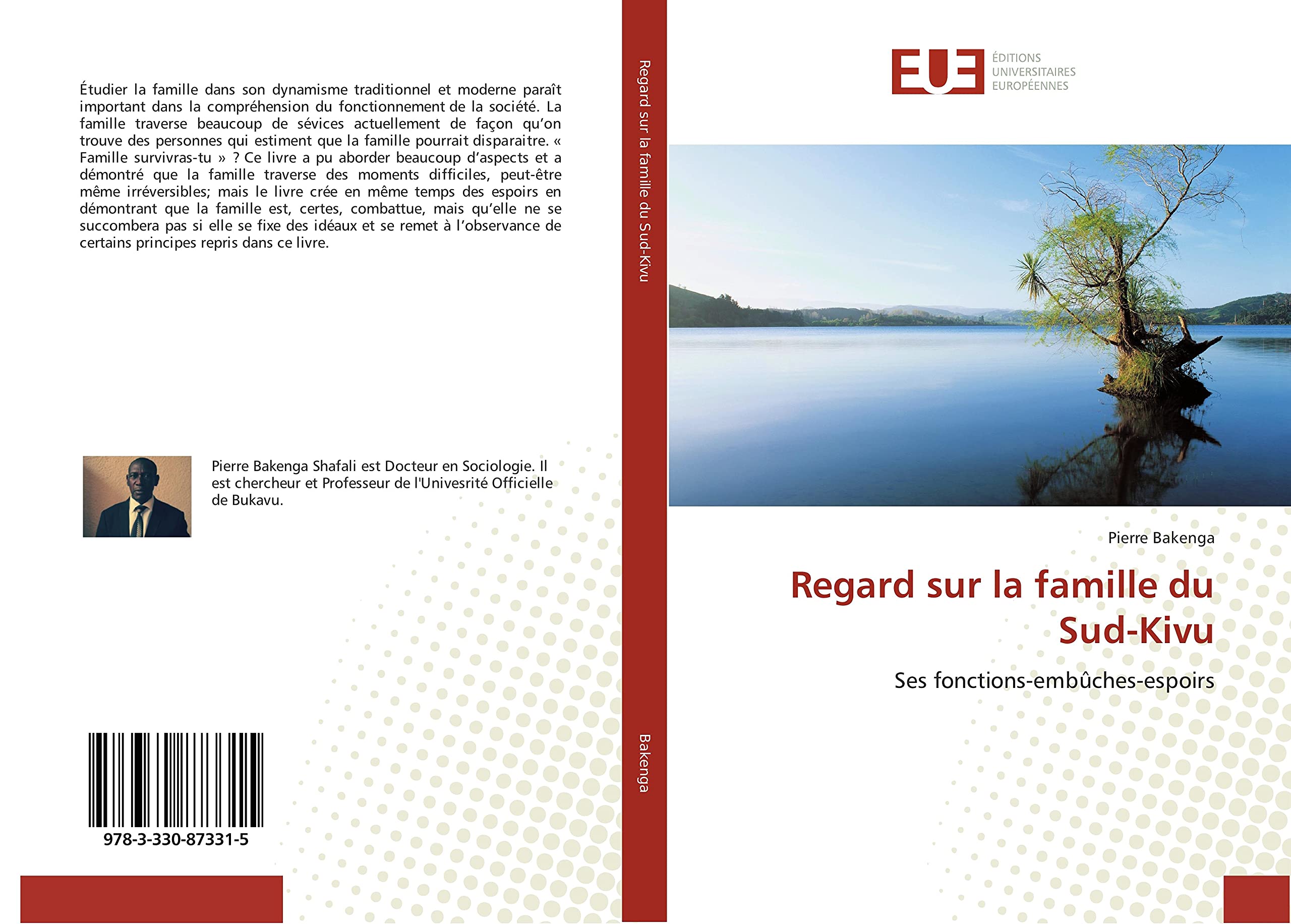 Regard sur la famille du Sud-Kivu: Ses fonctions-embûches-espoirs book